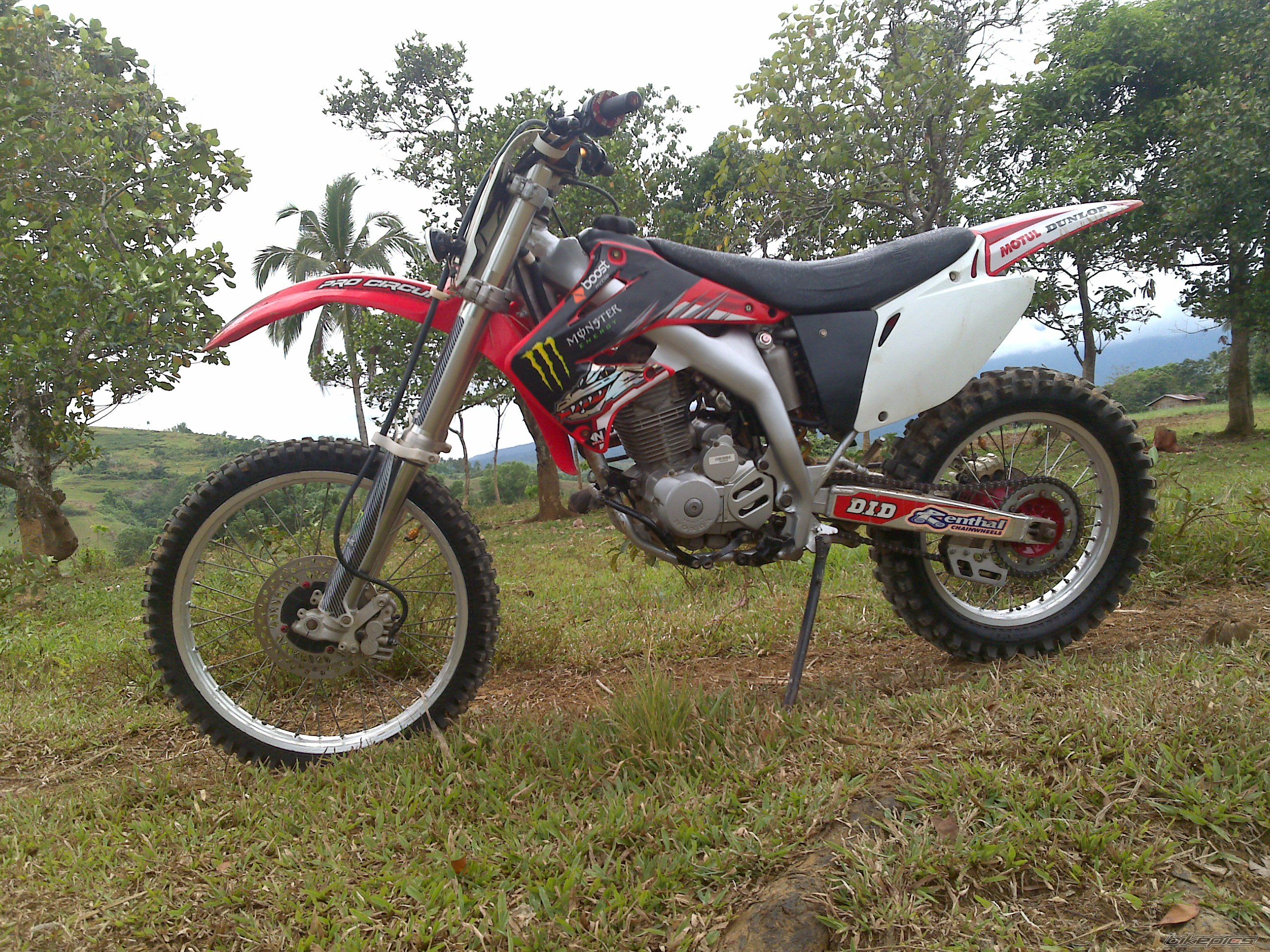 Photo 2539996