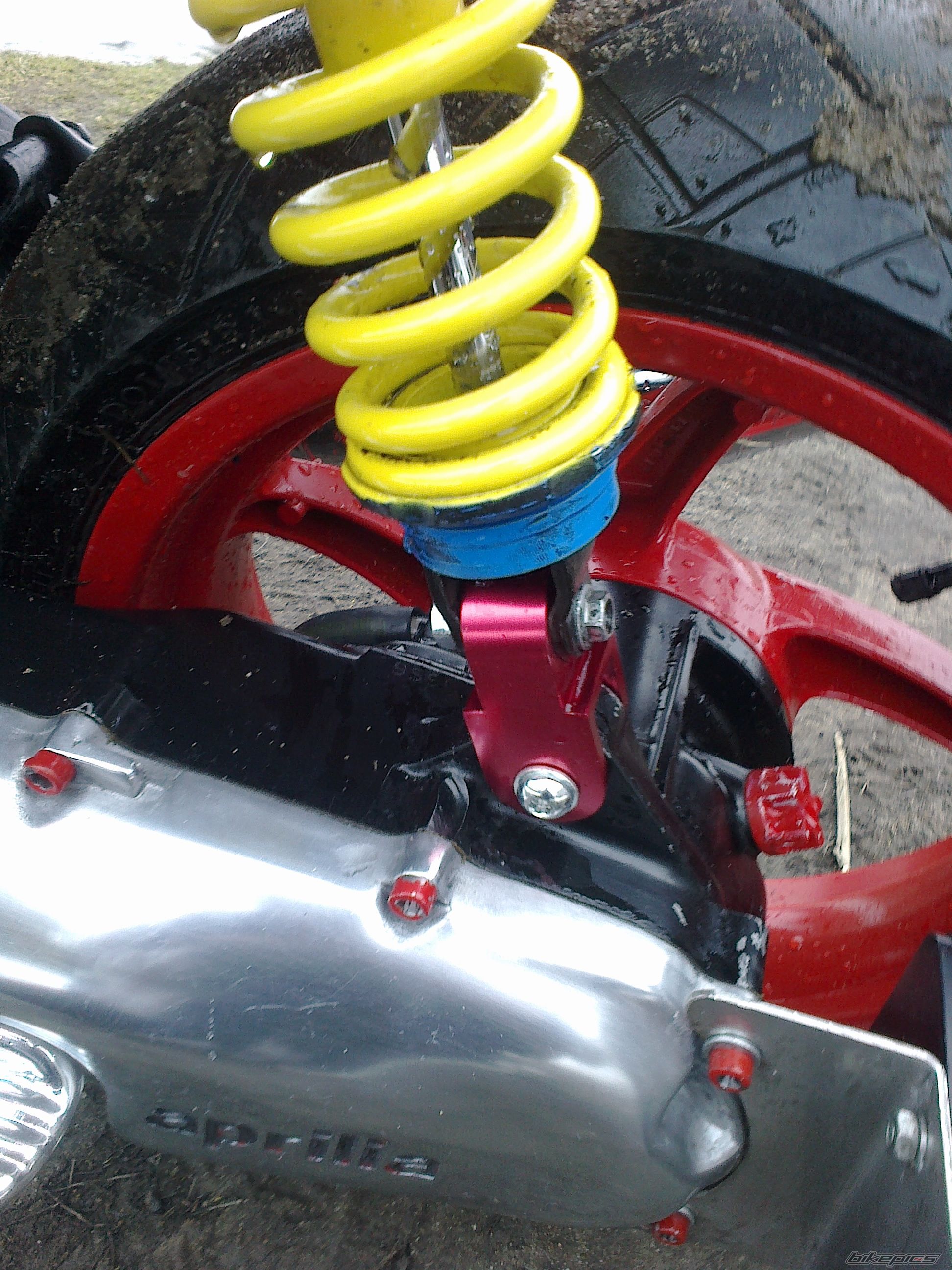 Photo 2540028