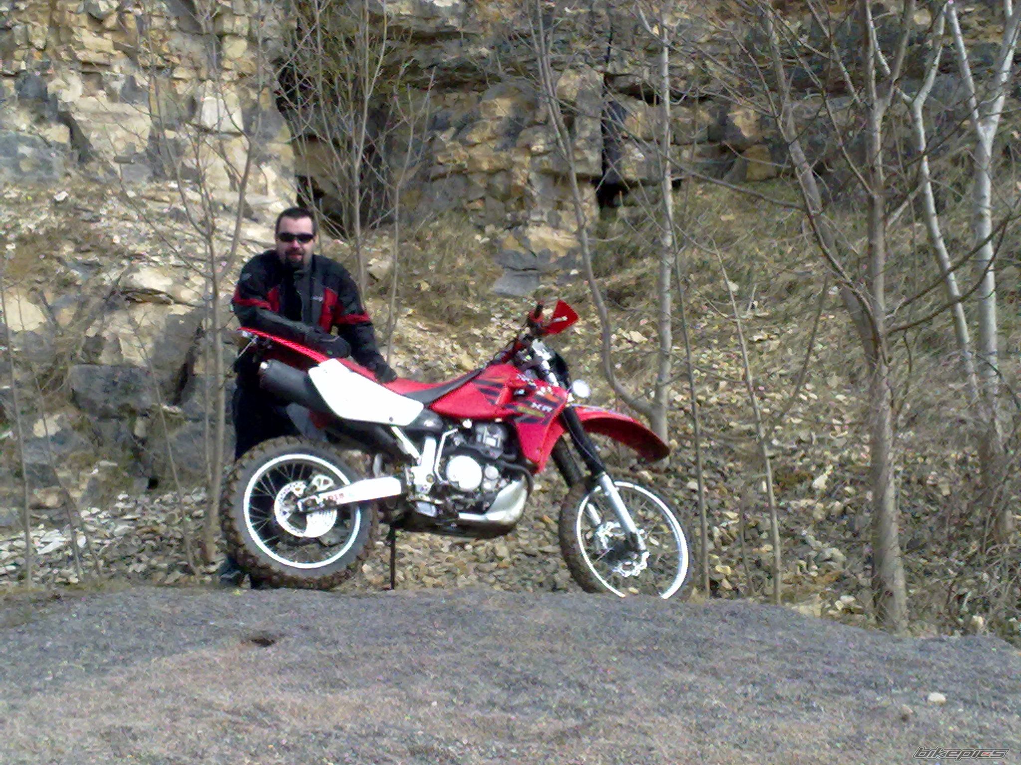 Photo 2540068