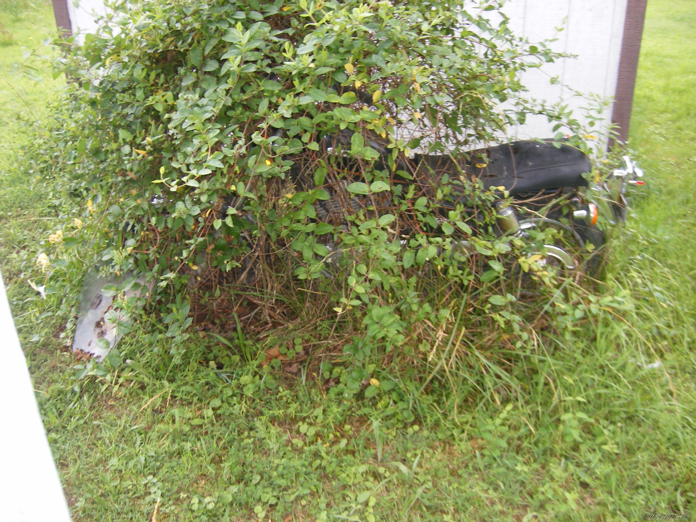 Photo 2540160