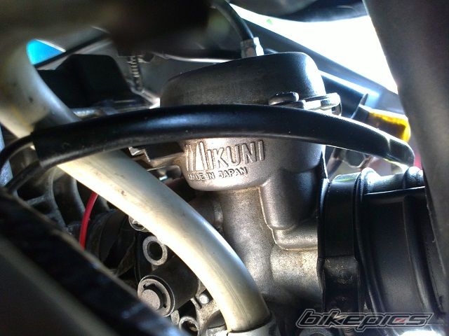 Photo 2540169