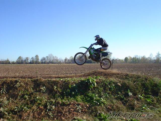 Photo 254028