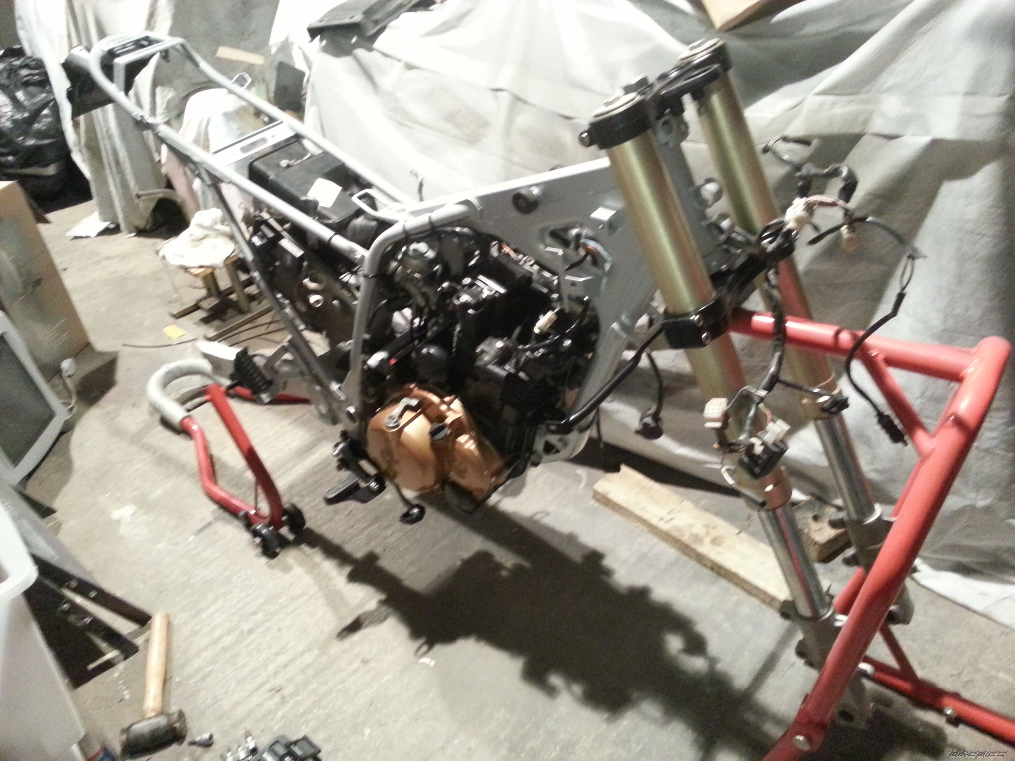 Photo 2540368