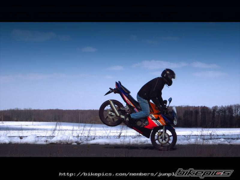 Photo 2540382