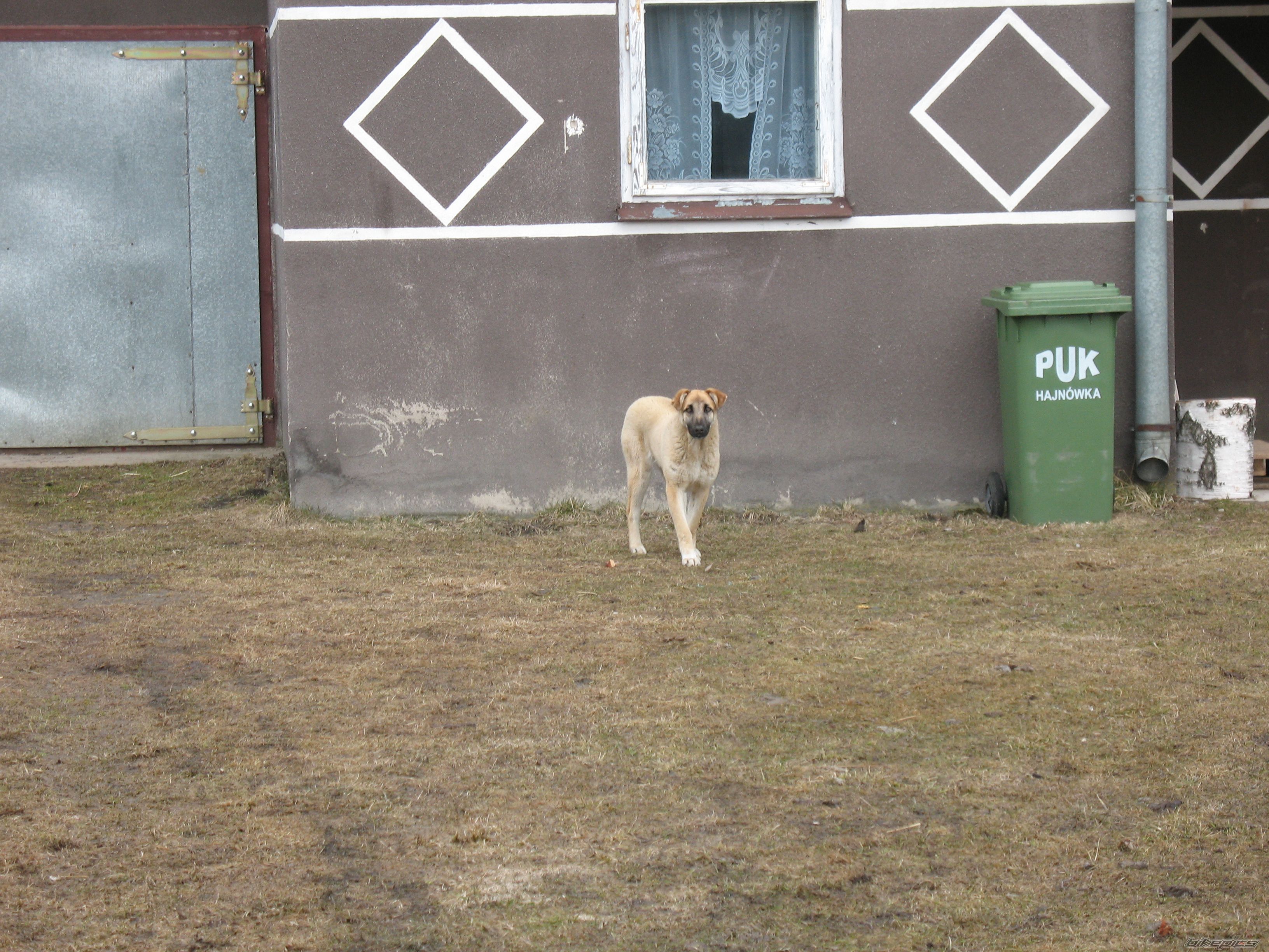 Photo 2540390