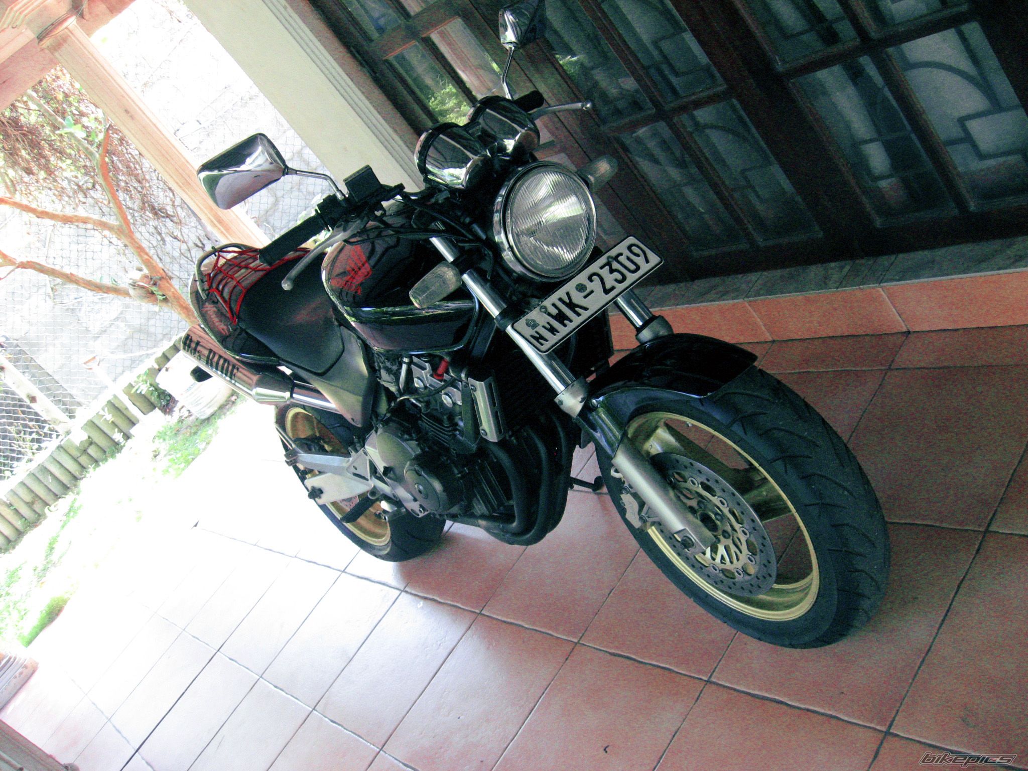 Photo 2540463