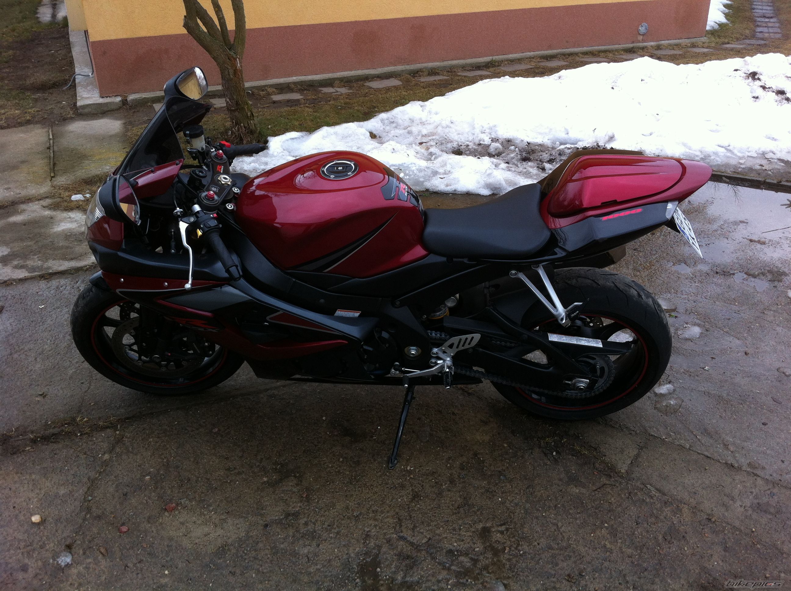 Photo 2540484