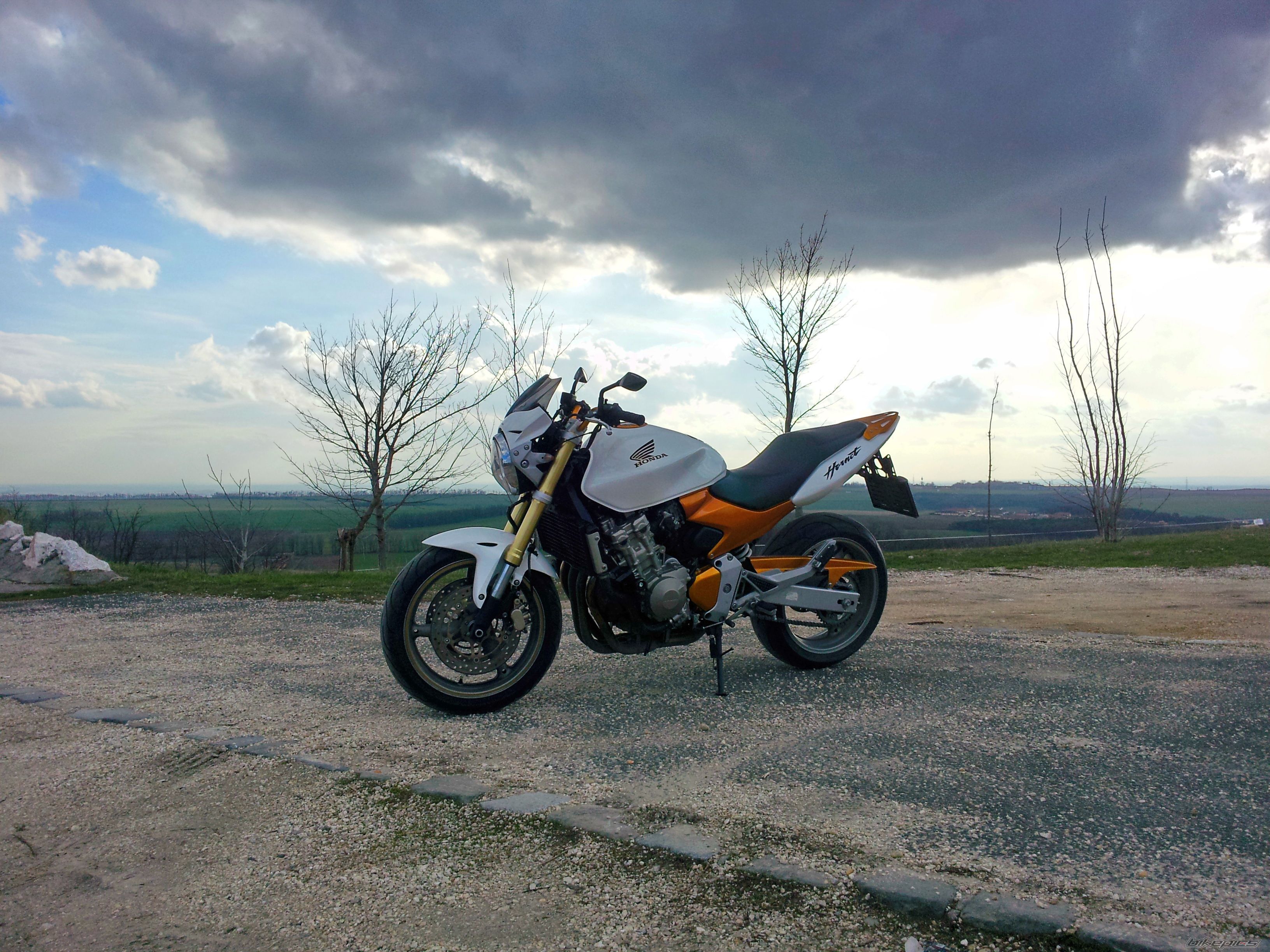 Photo 2540492