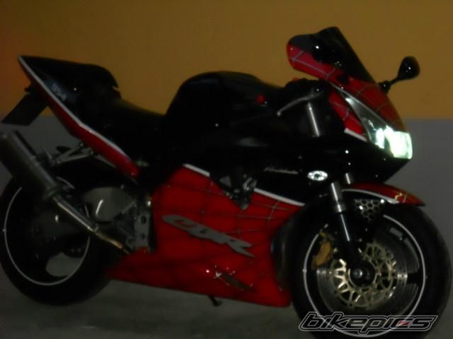 Photo 2540543