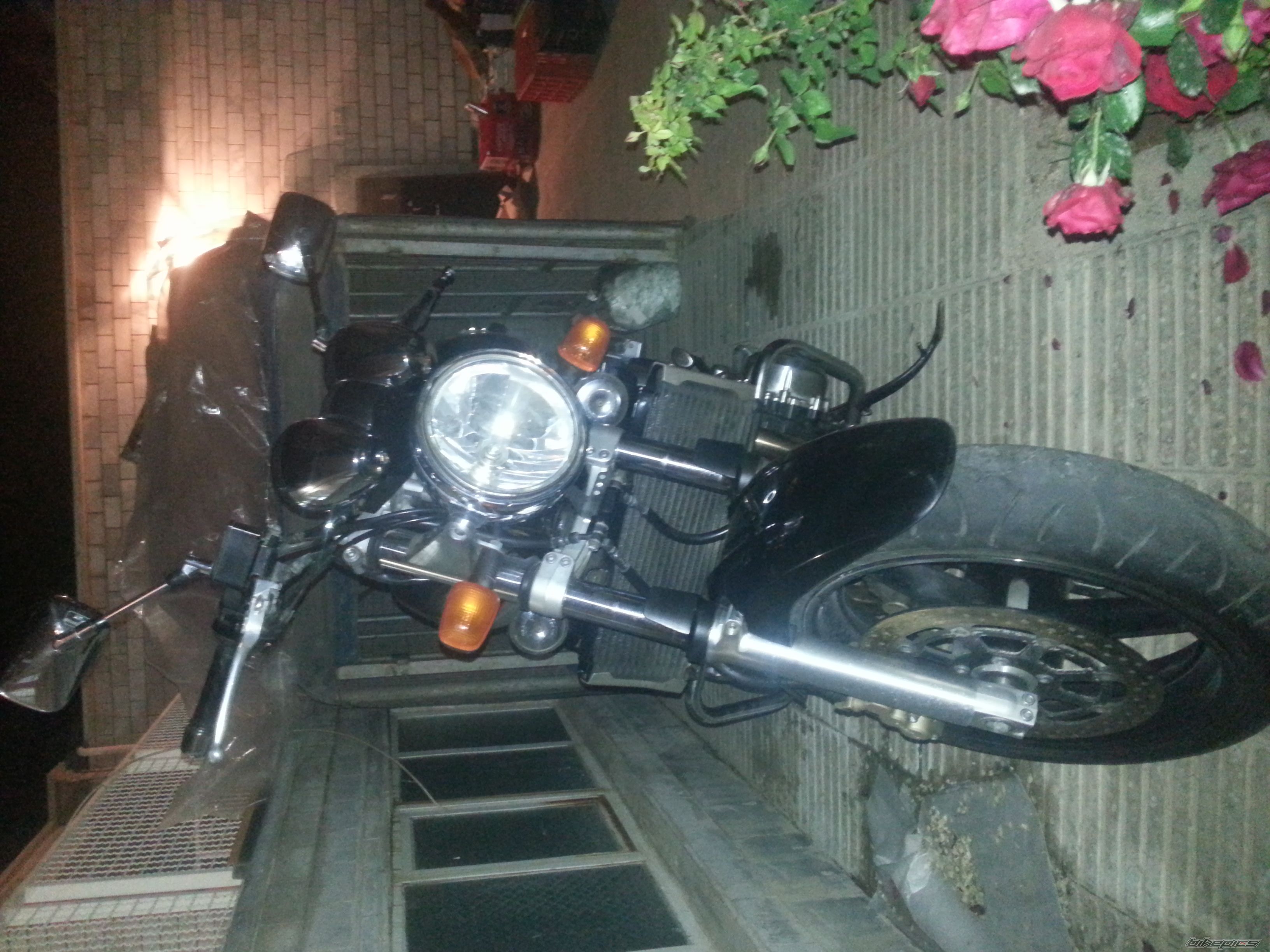 Photo 2540573