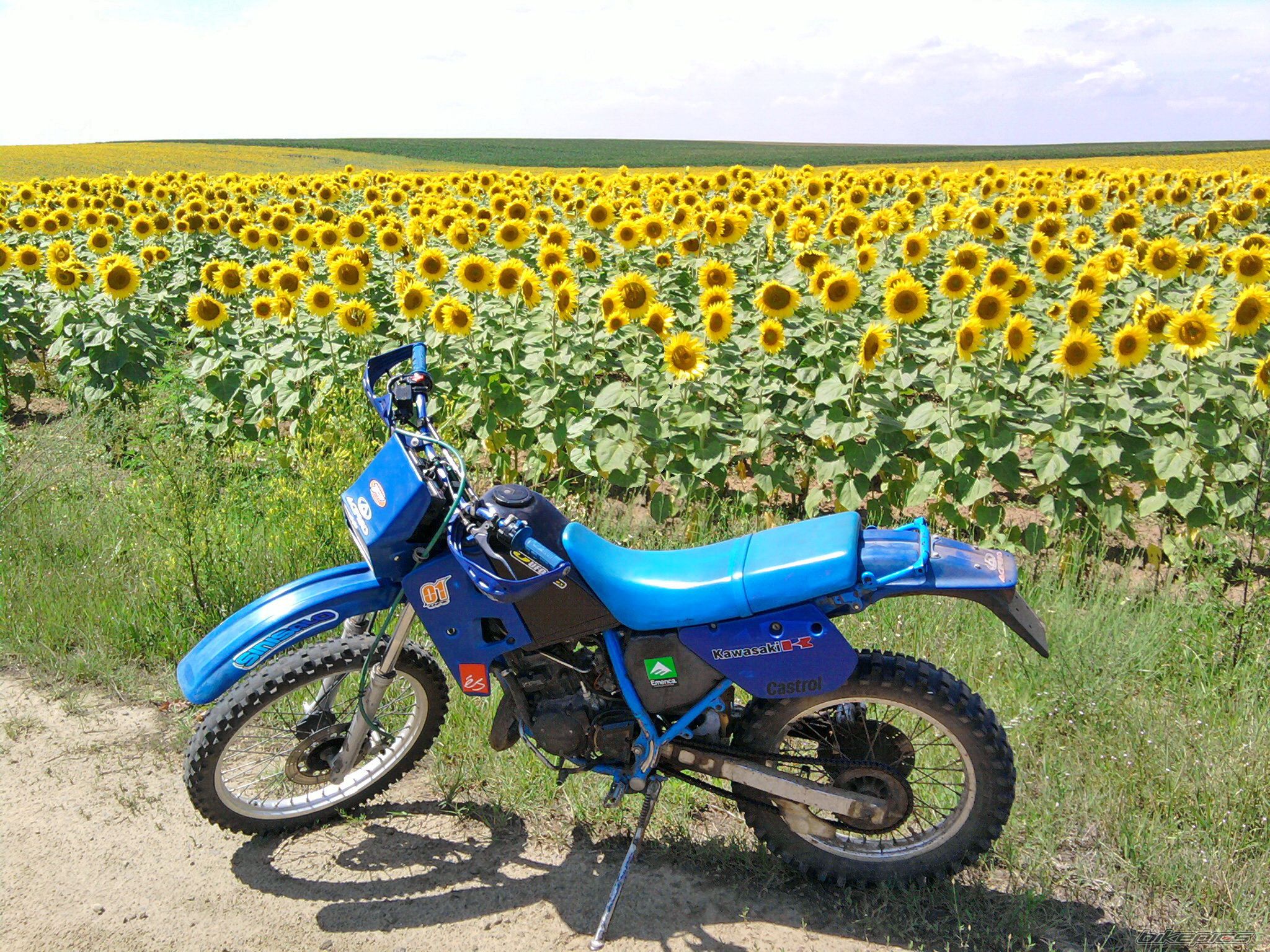 Photo 2540624