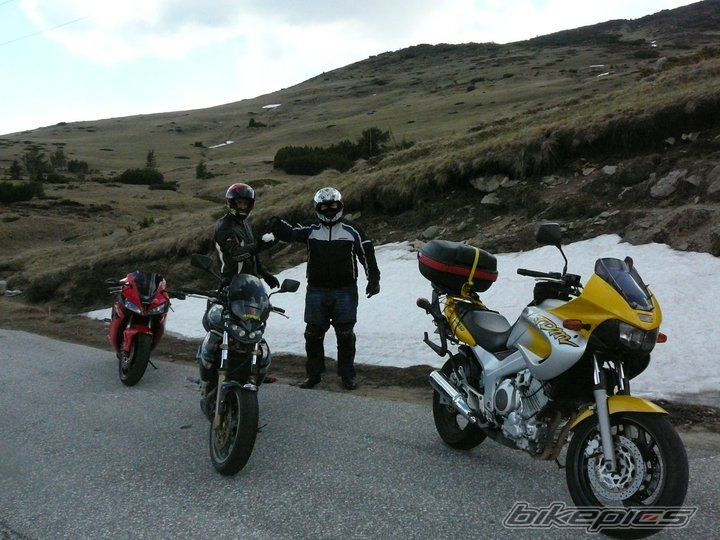 Photo 2540633