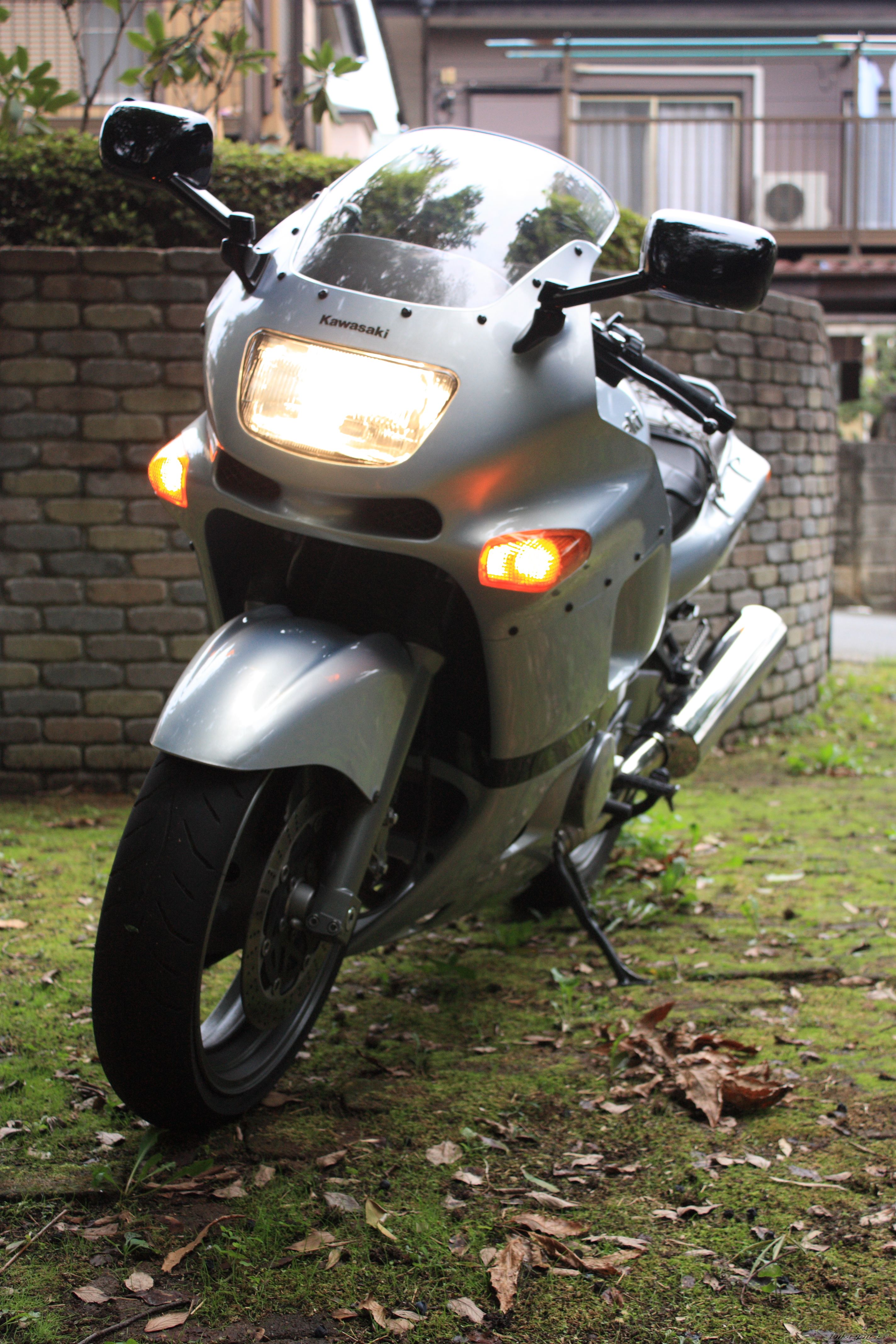 Photo 2540637
