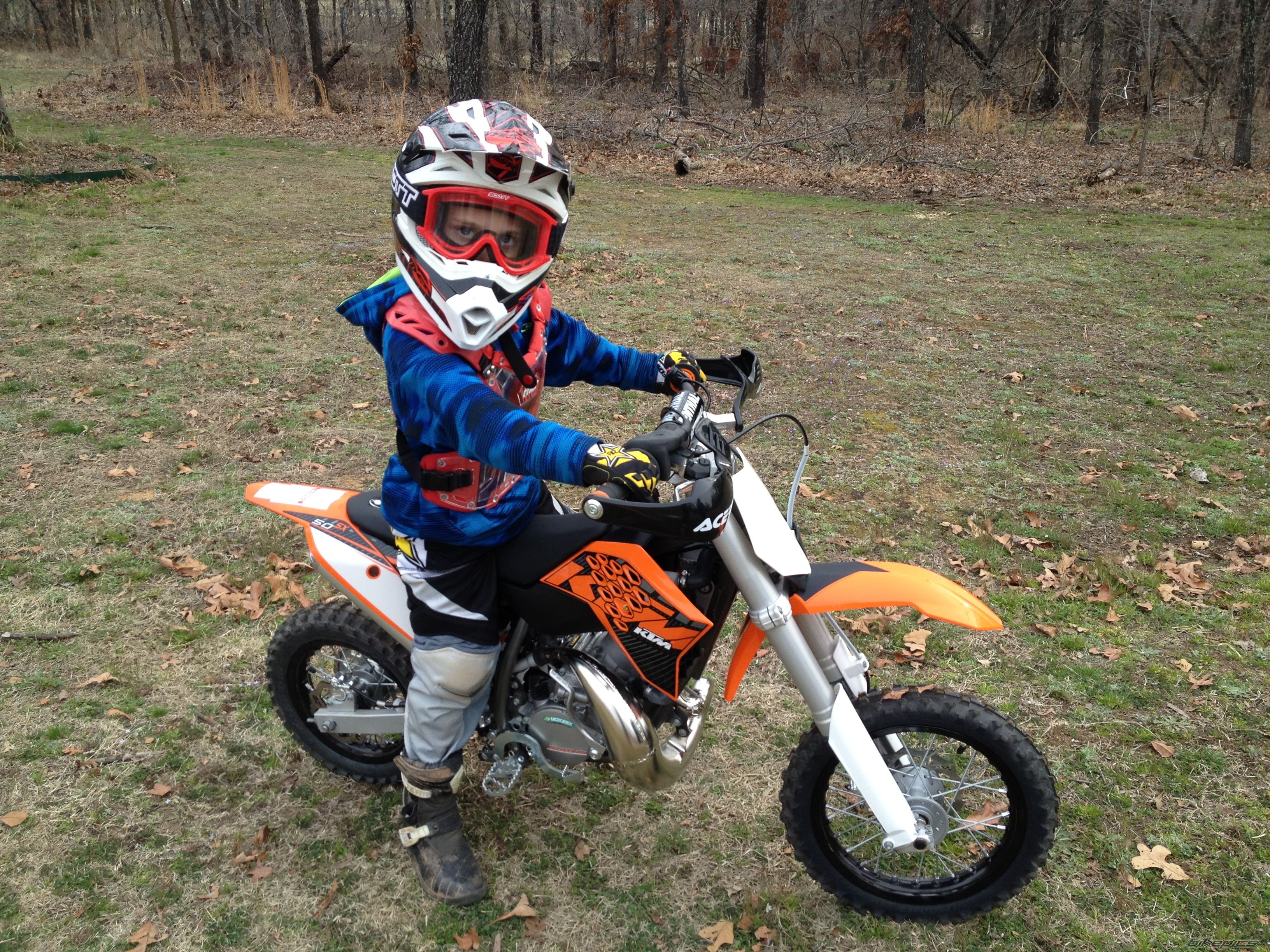 Photo 2540647