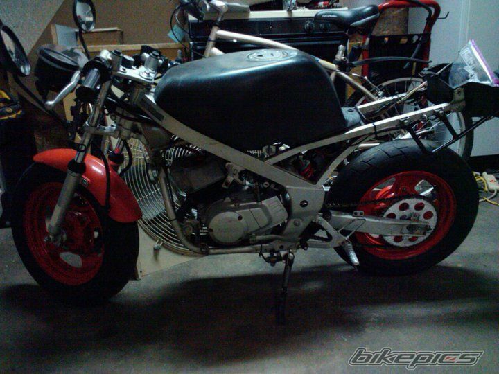 Photo 2540655