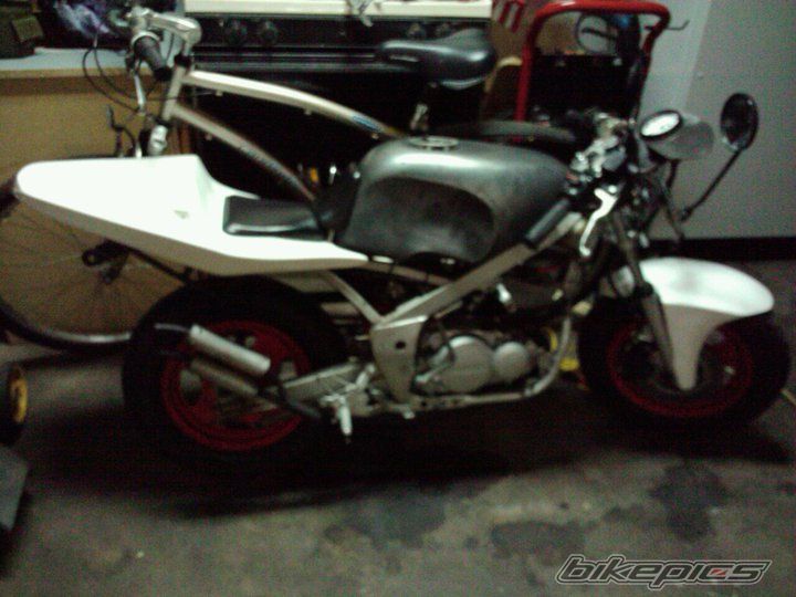 Photo 2540658