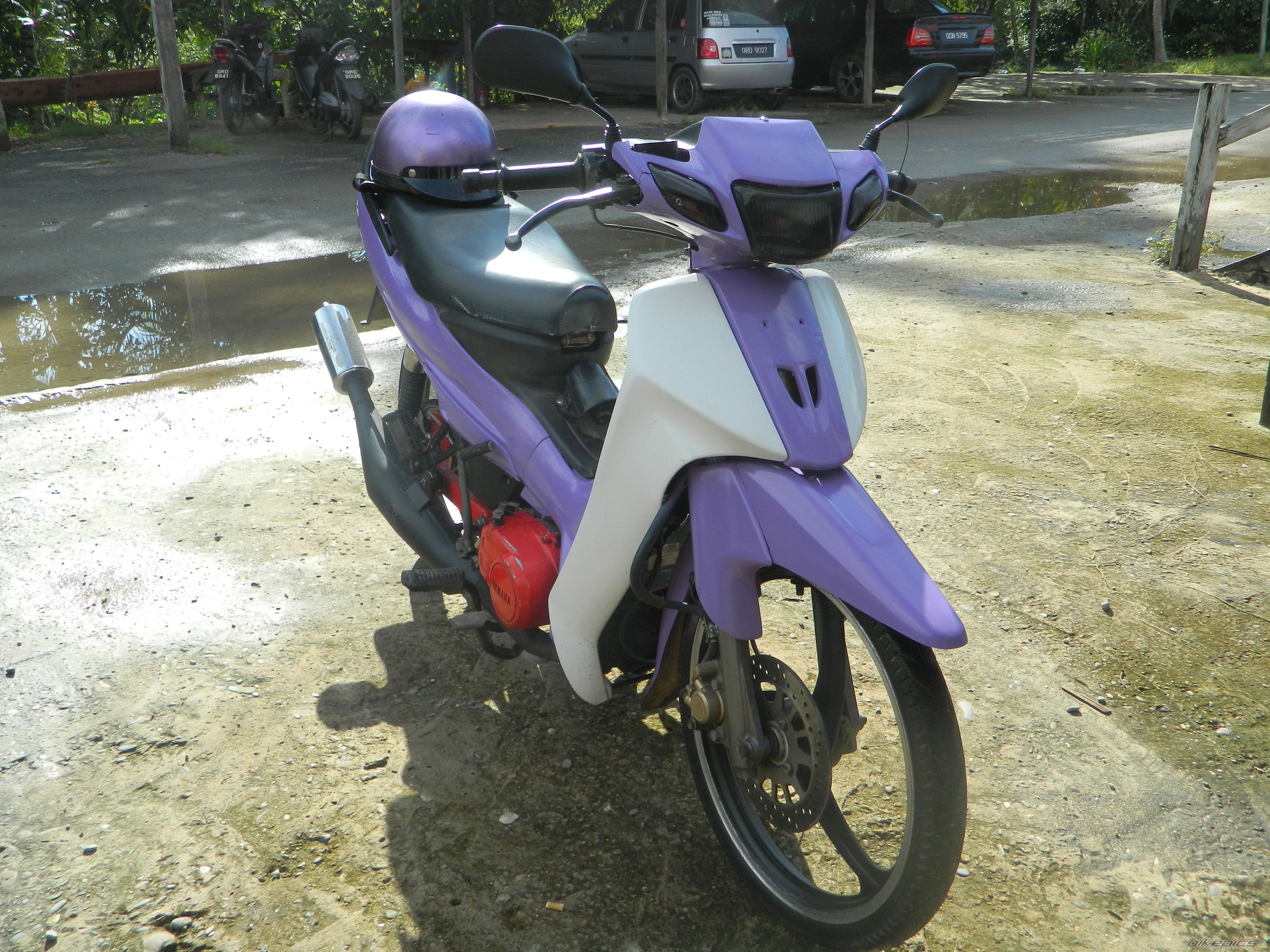 Photo 2540659