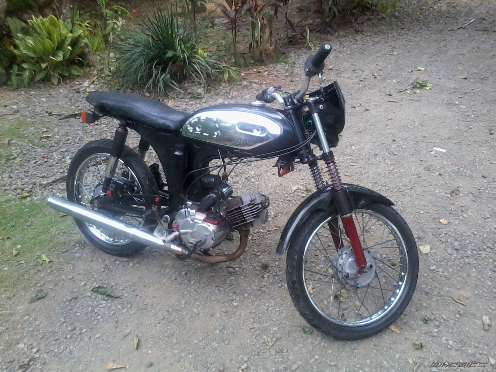 Photo 2540667