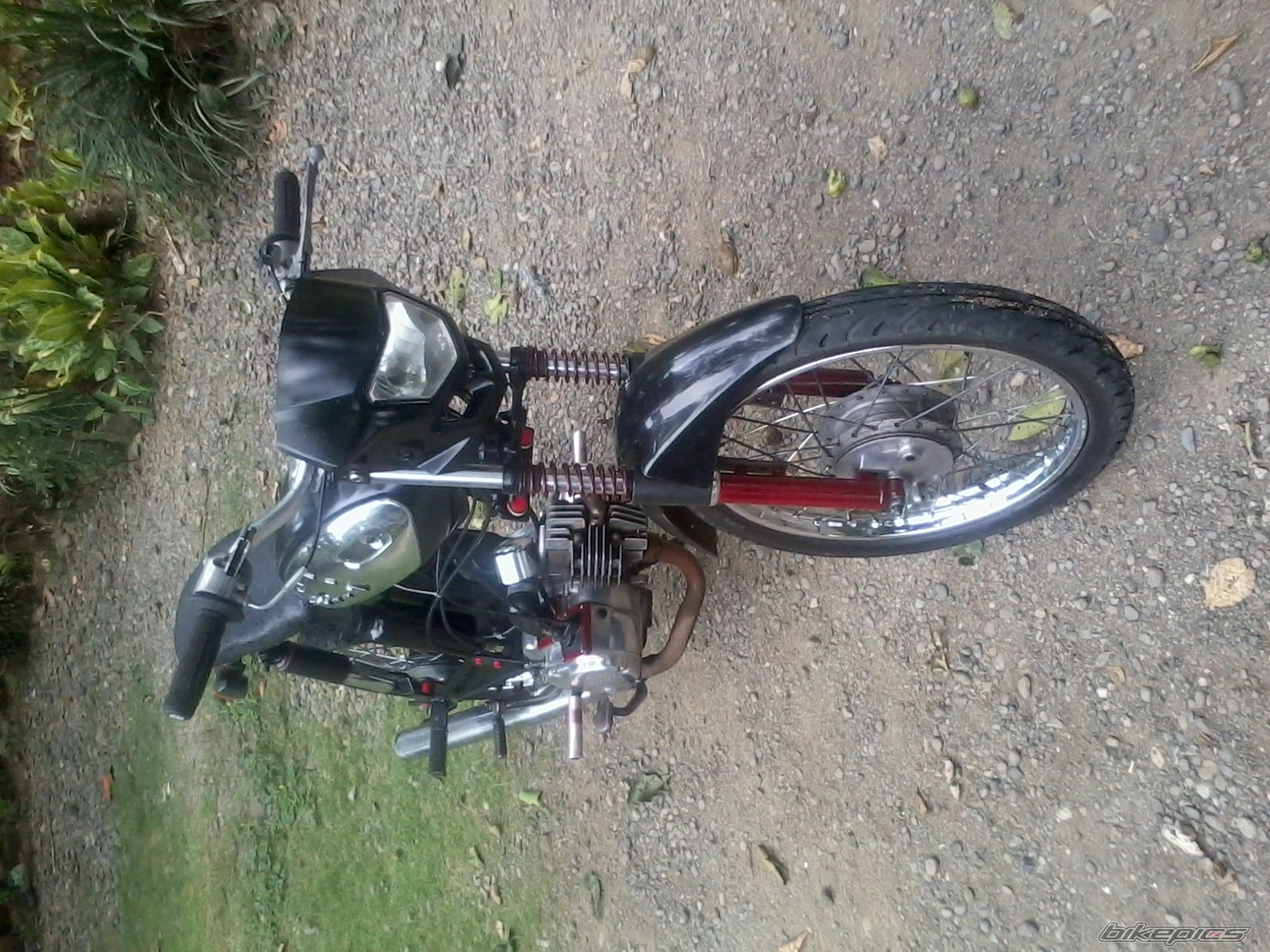 Photo 2540668