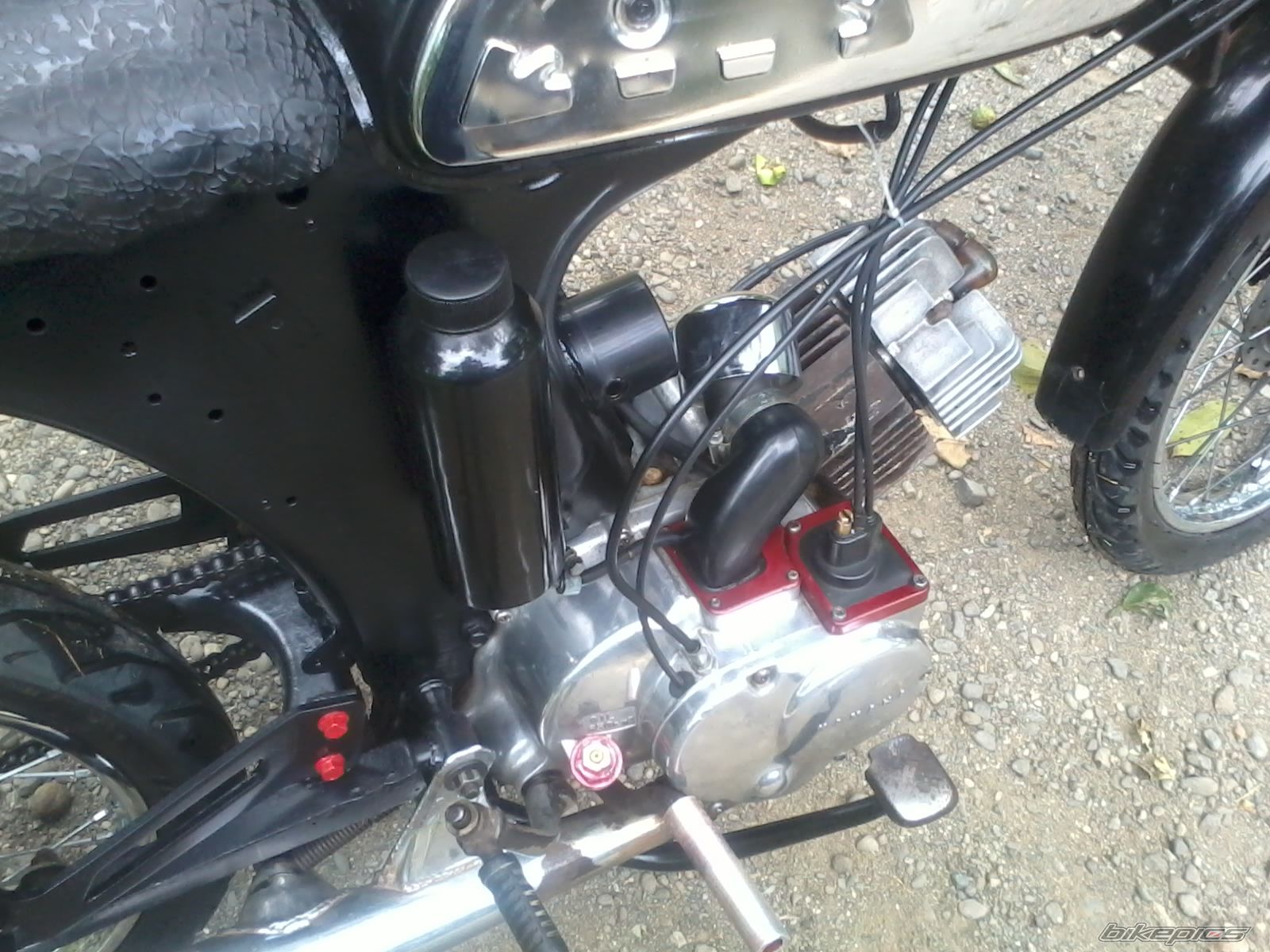 Photo 2540671
