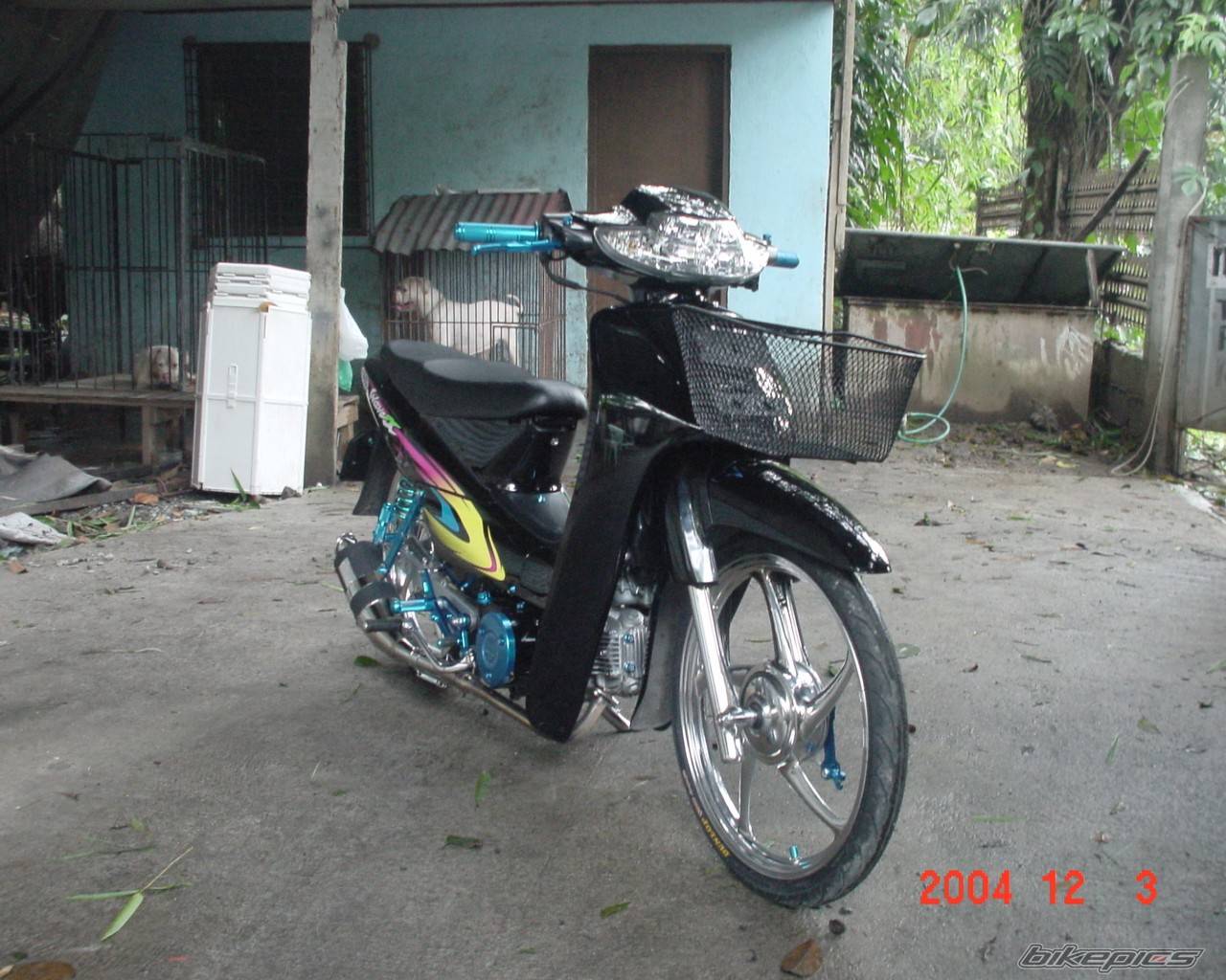 Photo 254068