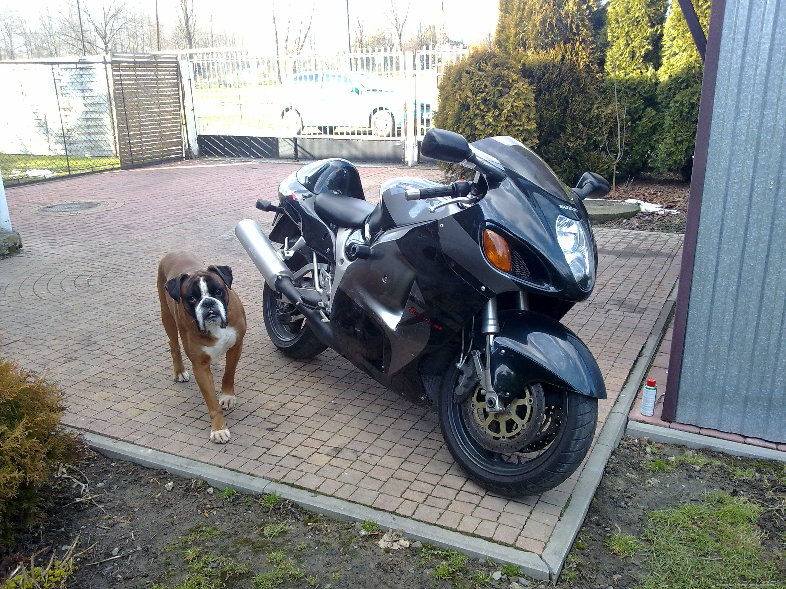 Bike Photo 2540711