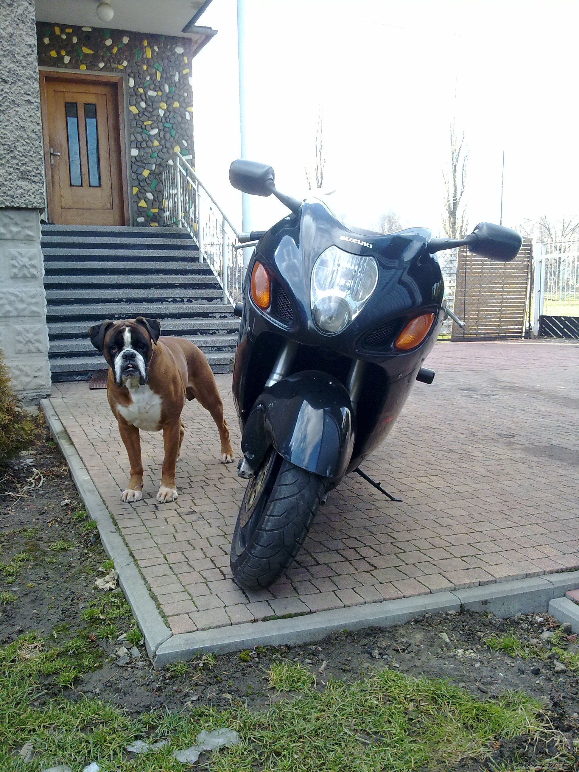 Bike Photo 2540712