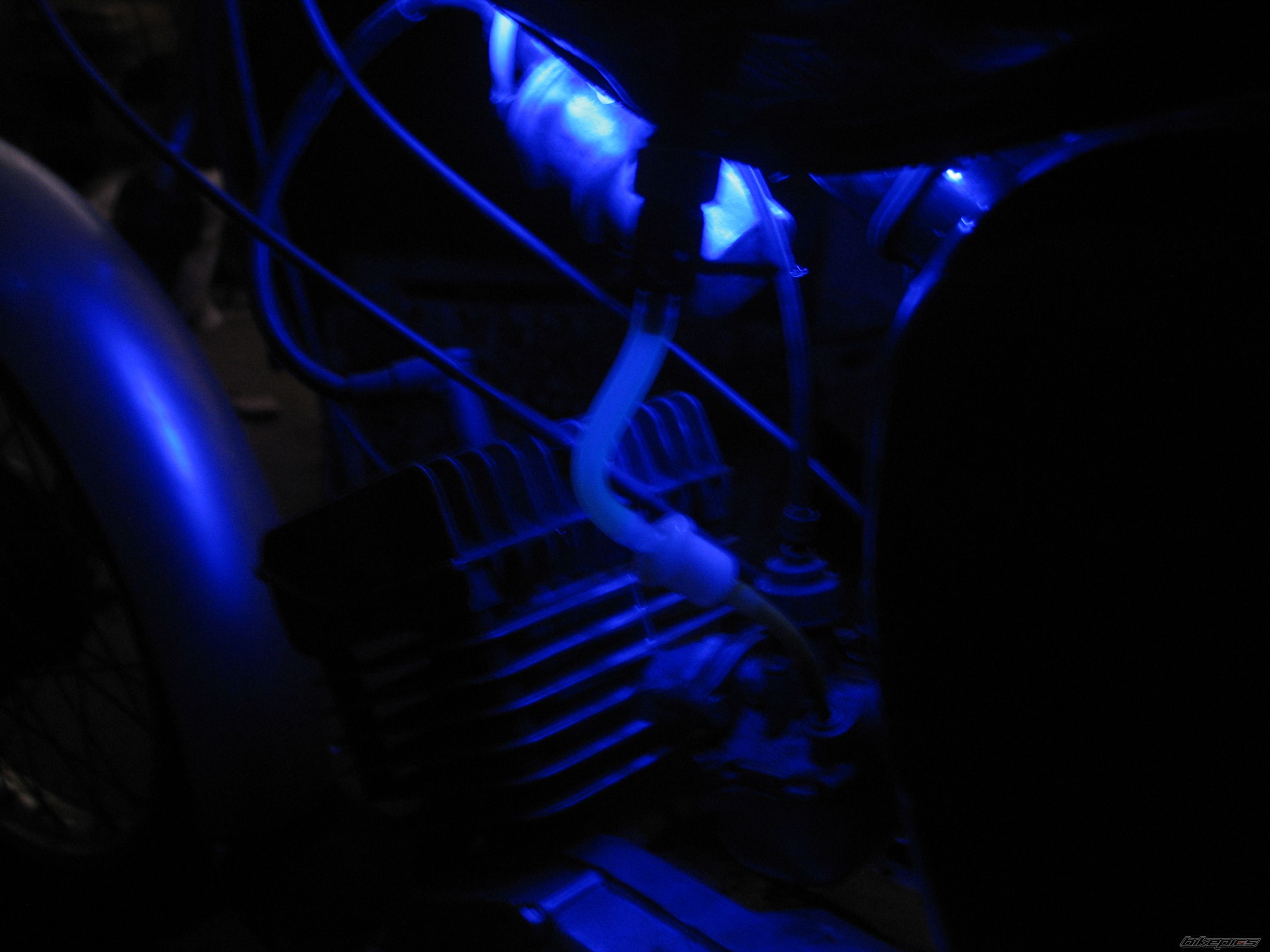 Photo 2540885