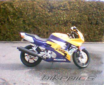 Photo 254091