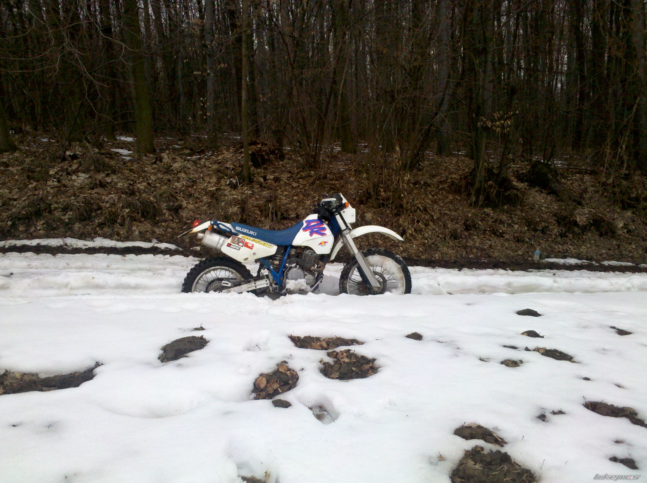Photo 2540912