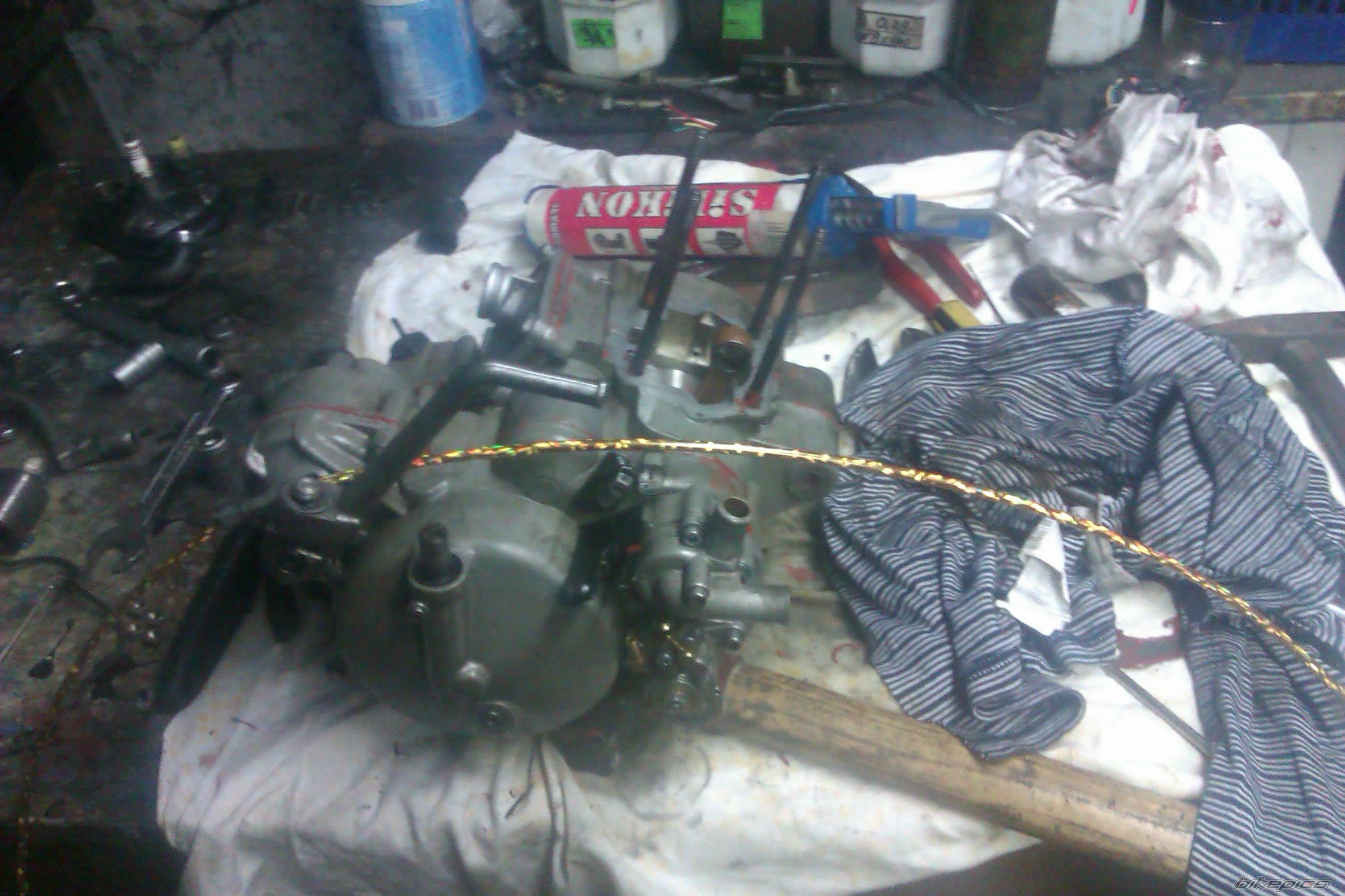 Photo 2540934
