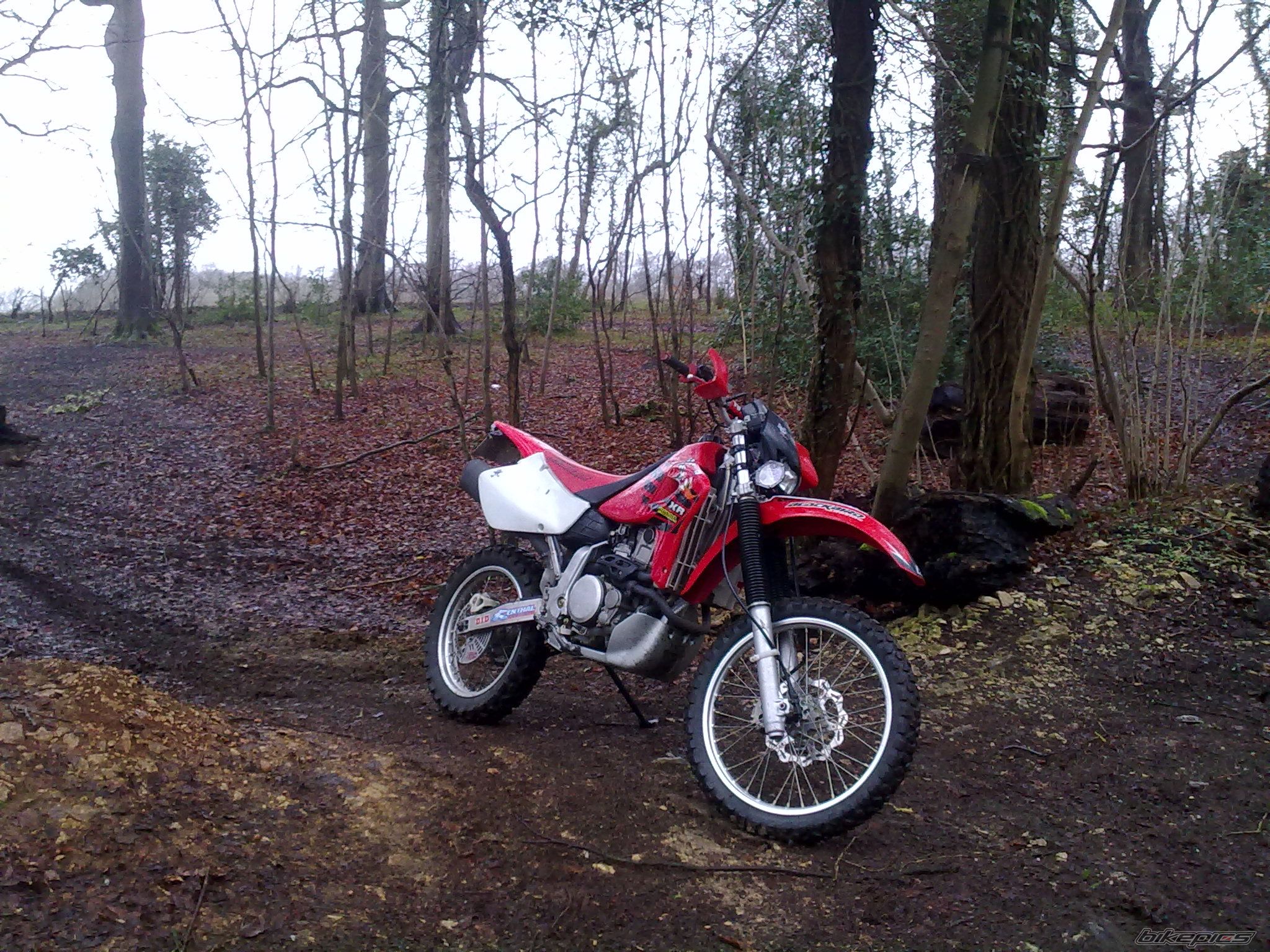 Photo 2540957