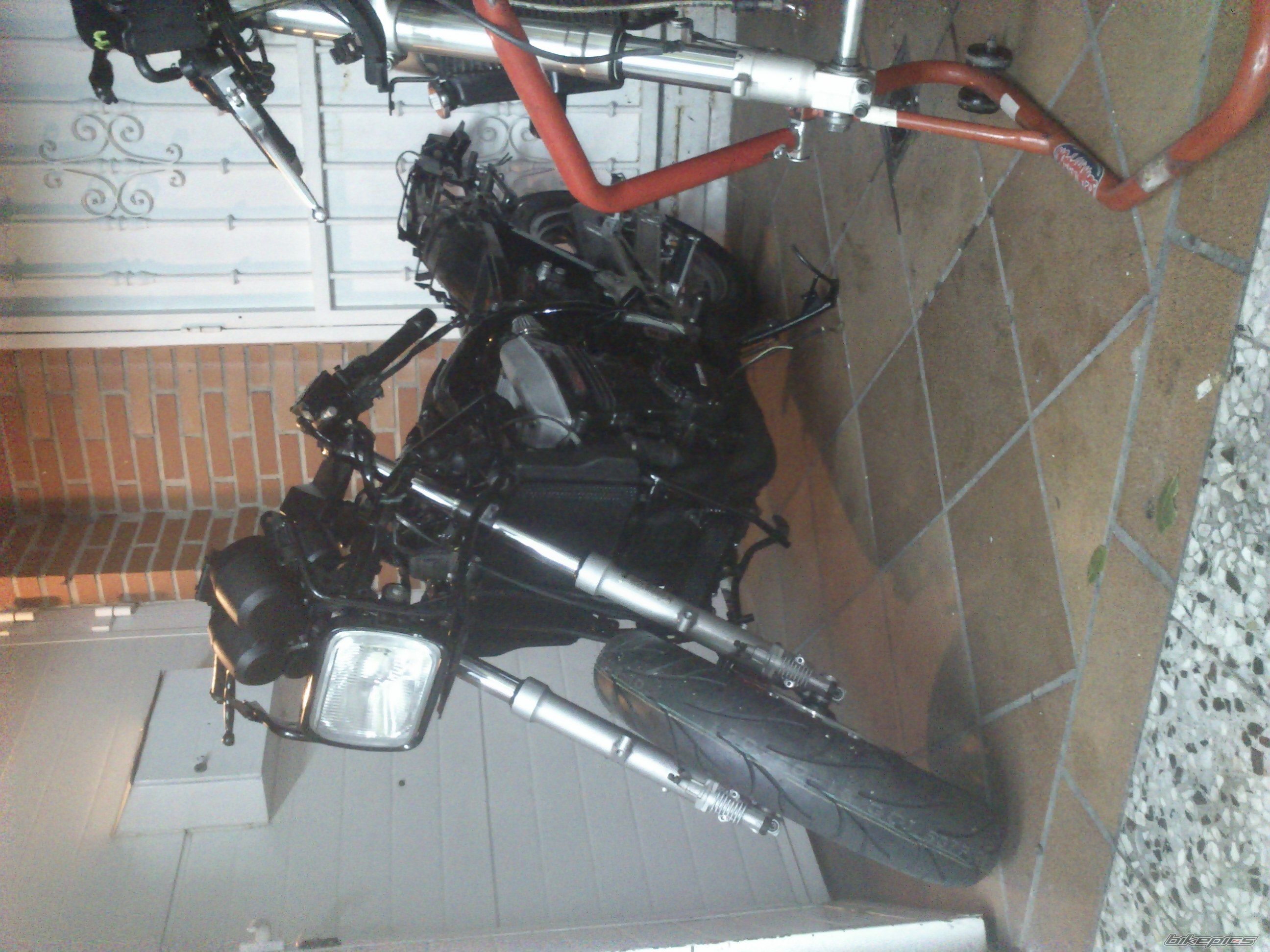 Photo 2541013