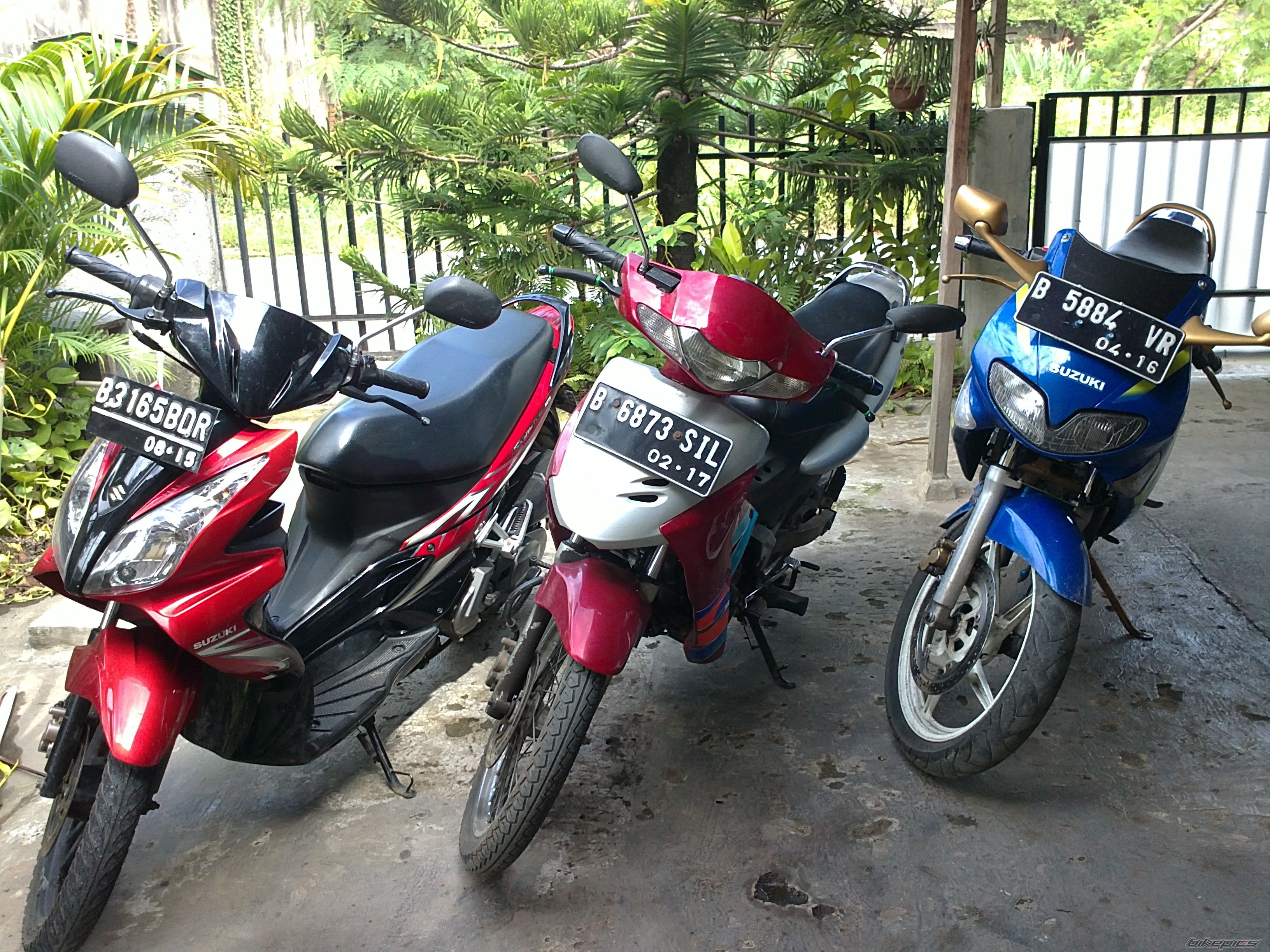Photo 2541065