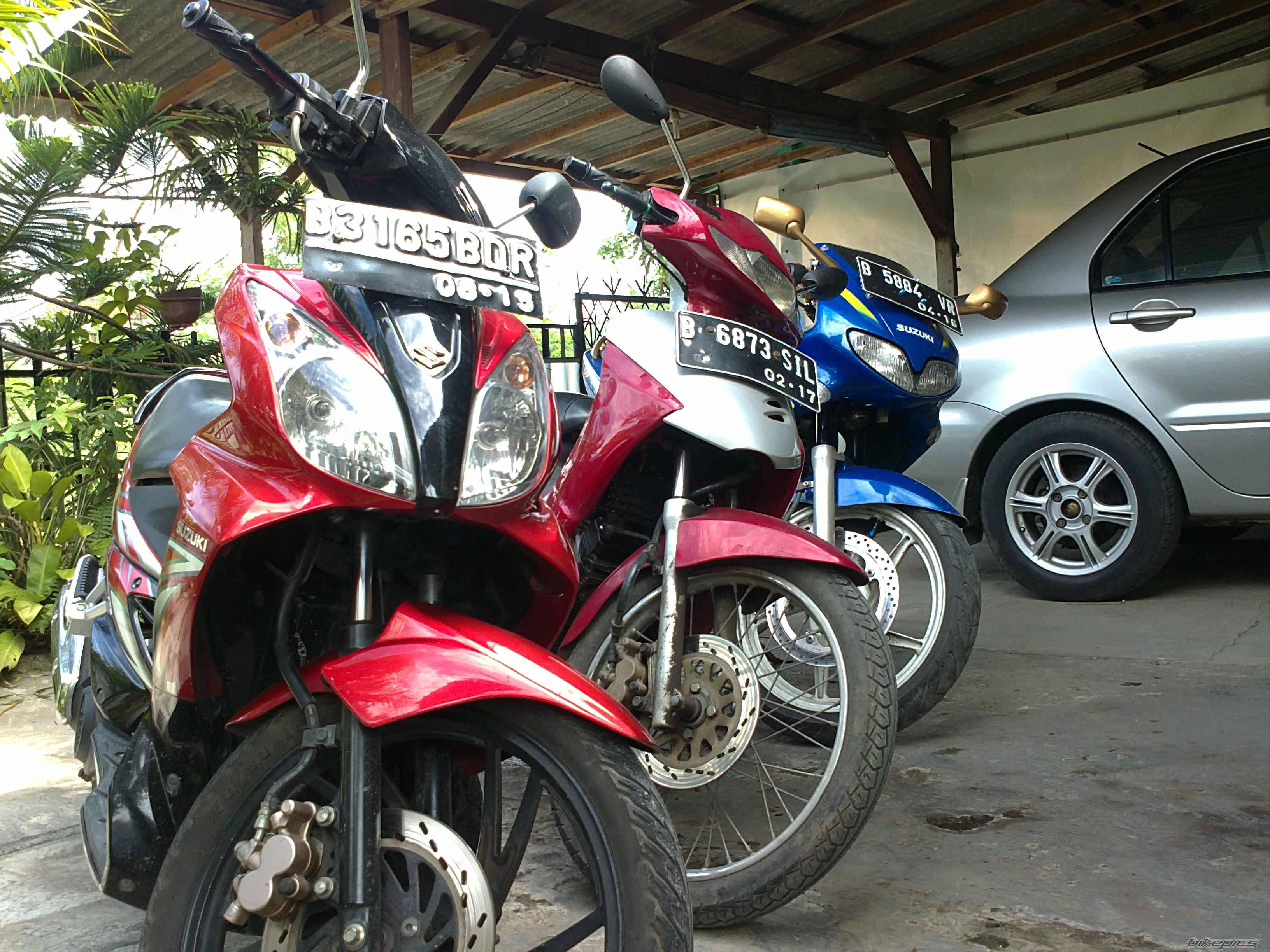 Photo 2541066