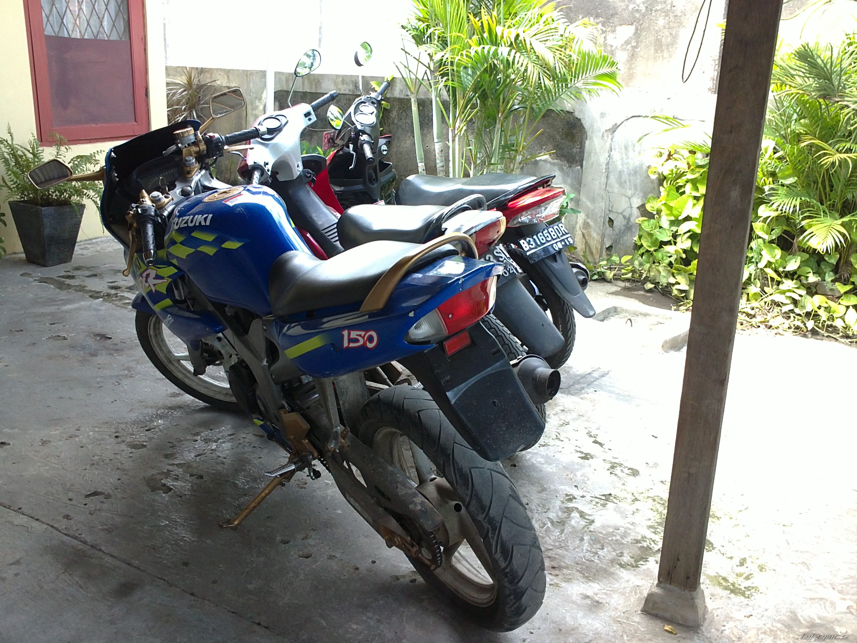 Photo 2541067