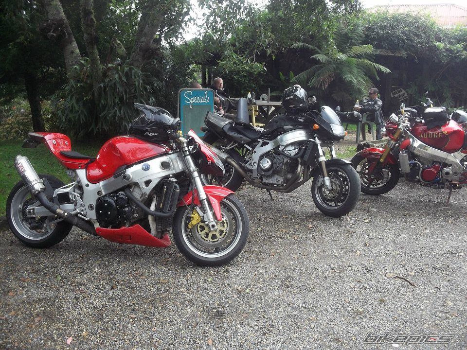 Photo 2541124