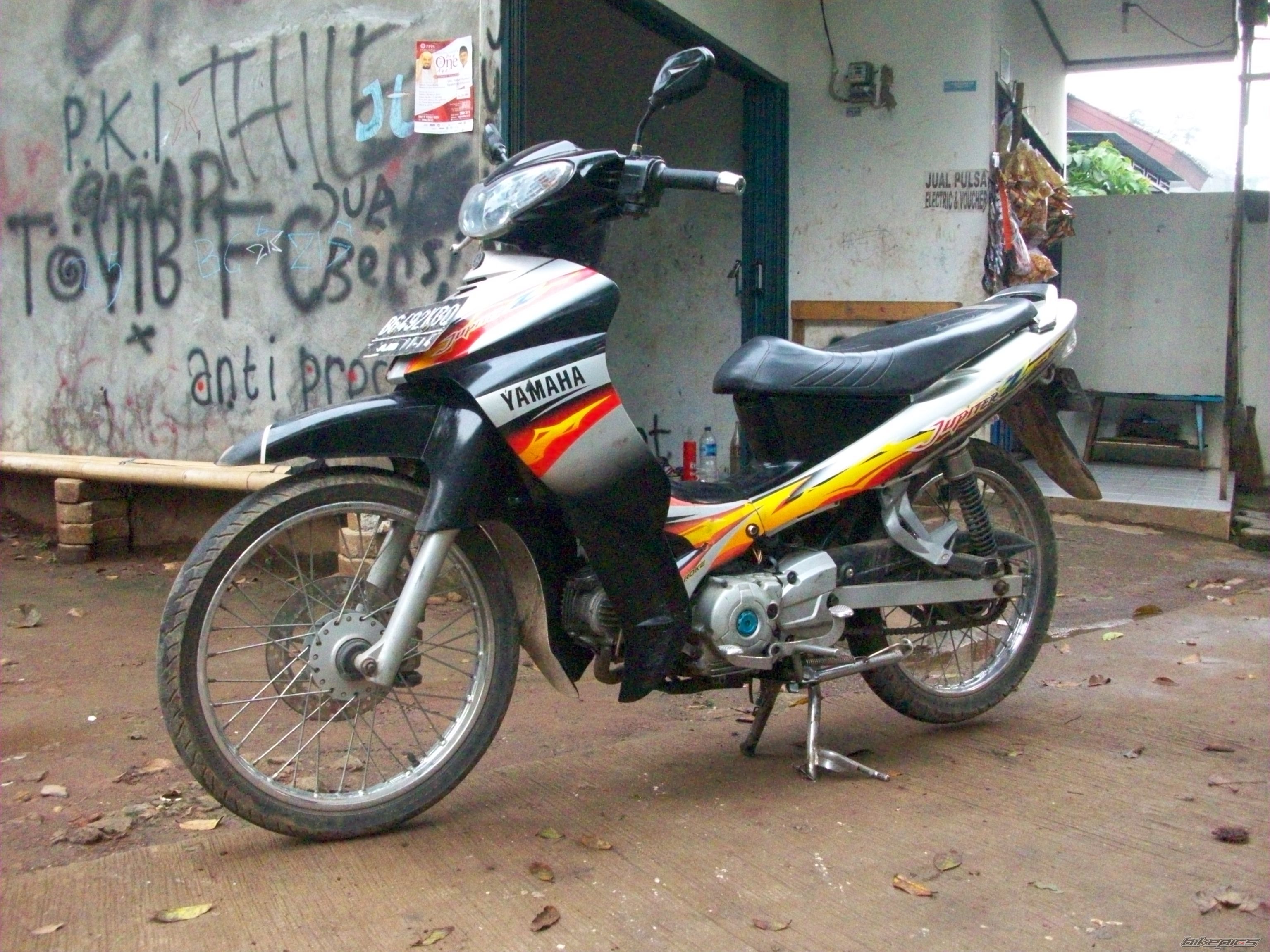 Photo 2541144