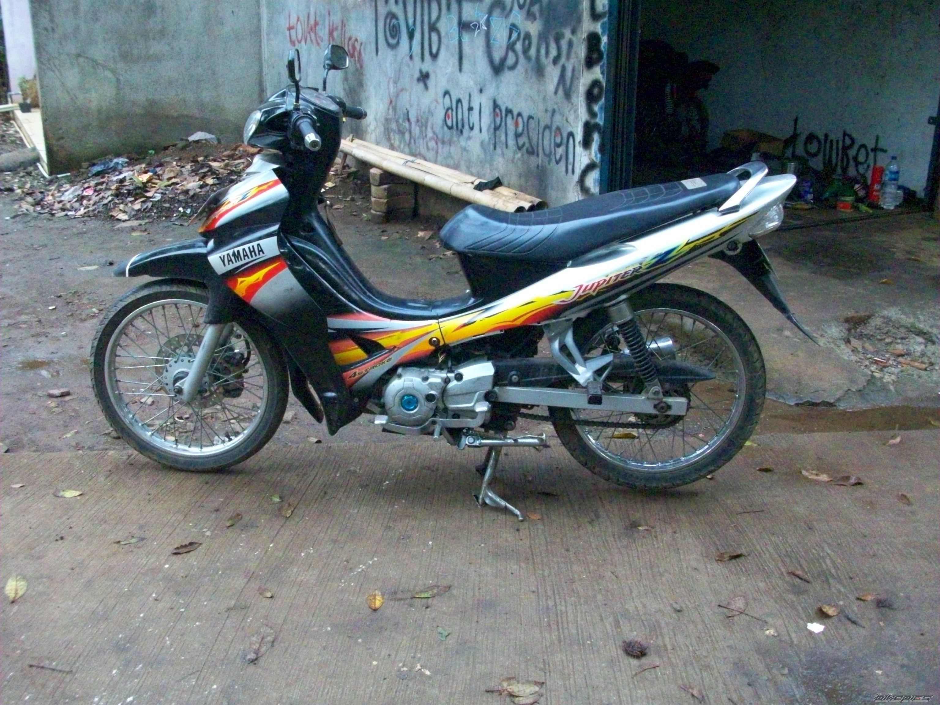 Photo 2541145