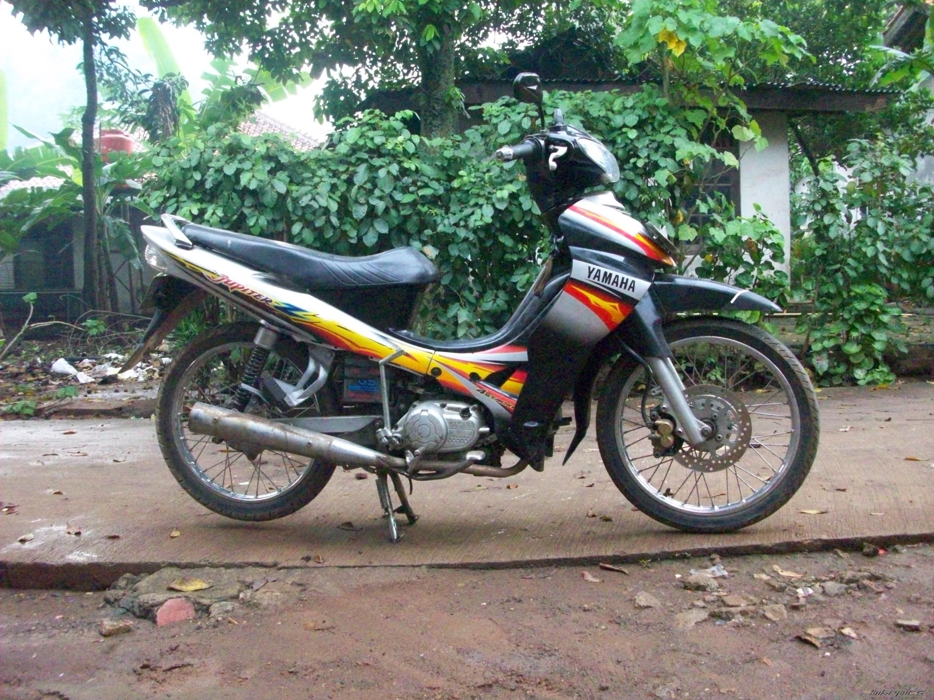 Photo 2541146