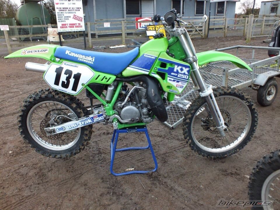 Photo 2541162