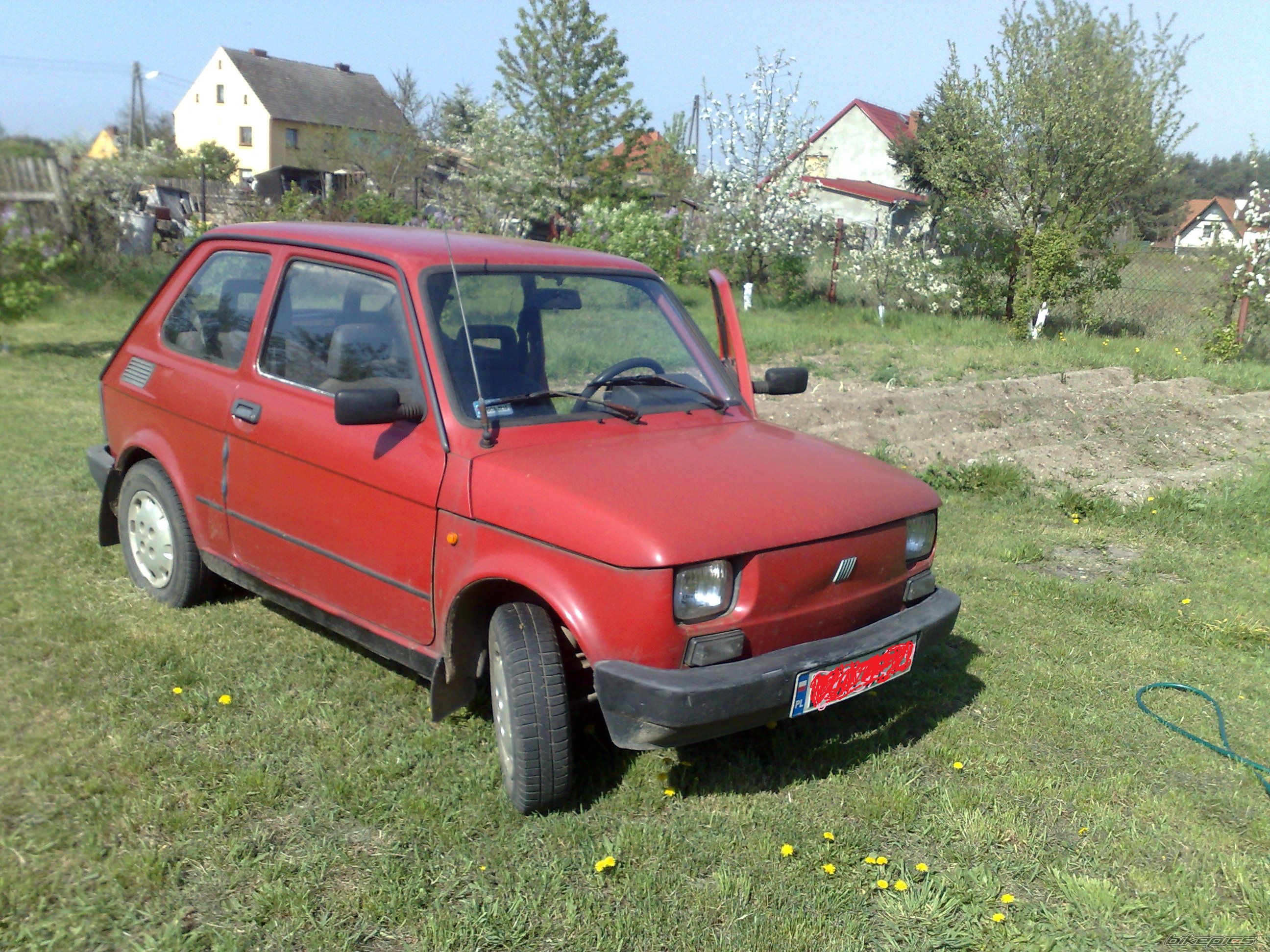 Photo 2541194