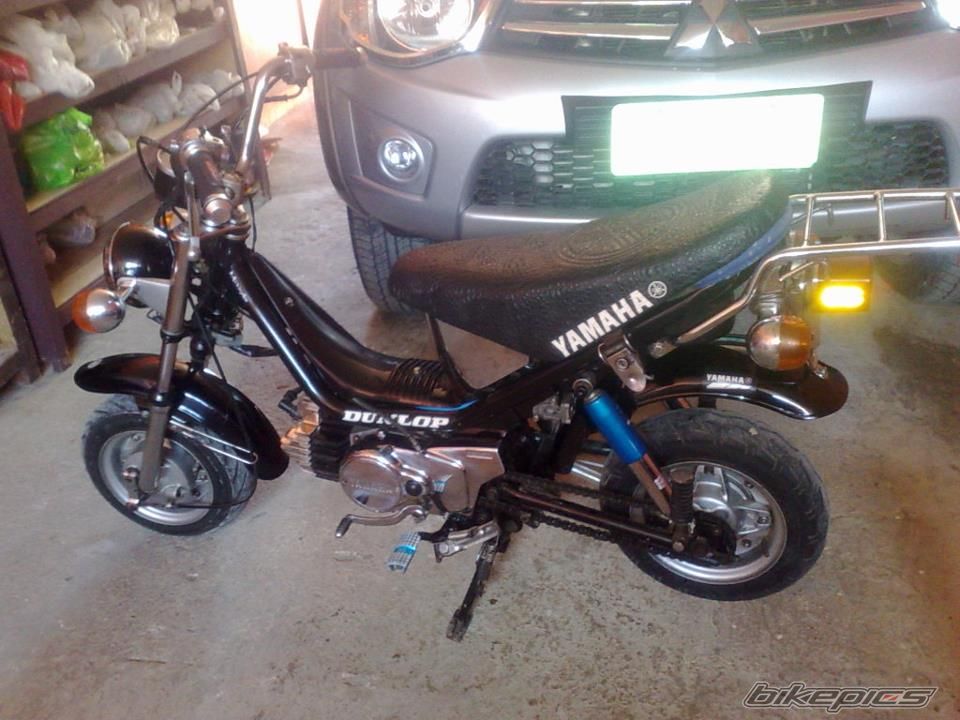 Photo 2541282