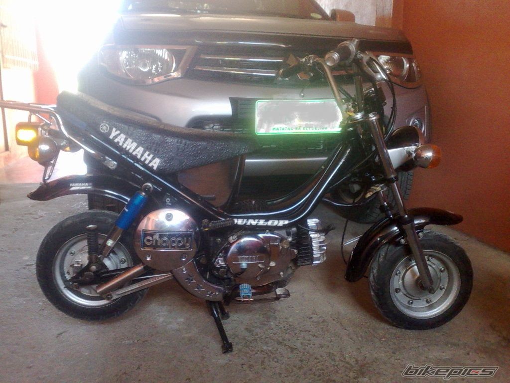 Photo 2541296