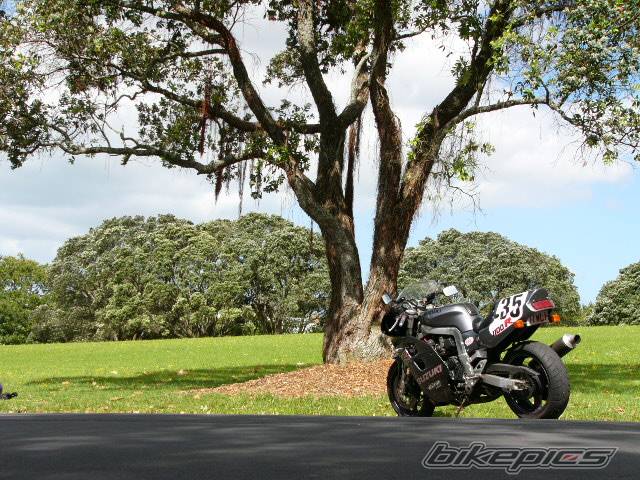 Bike Photo 254137