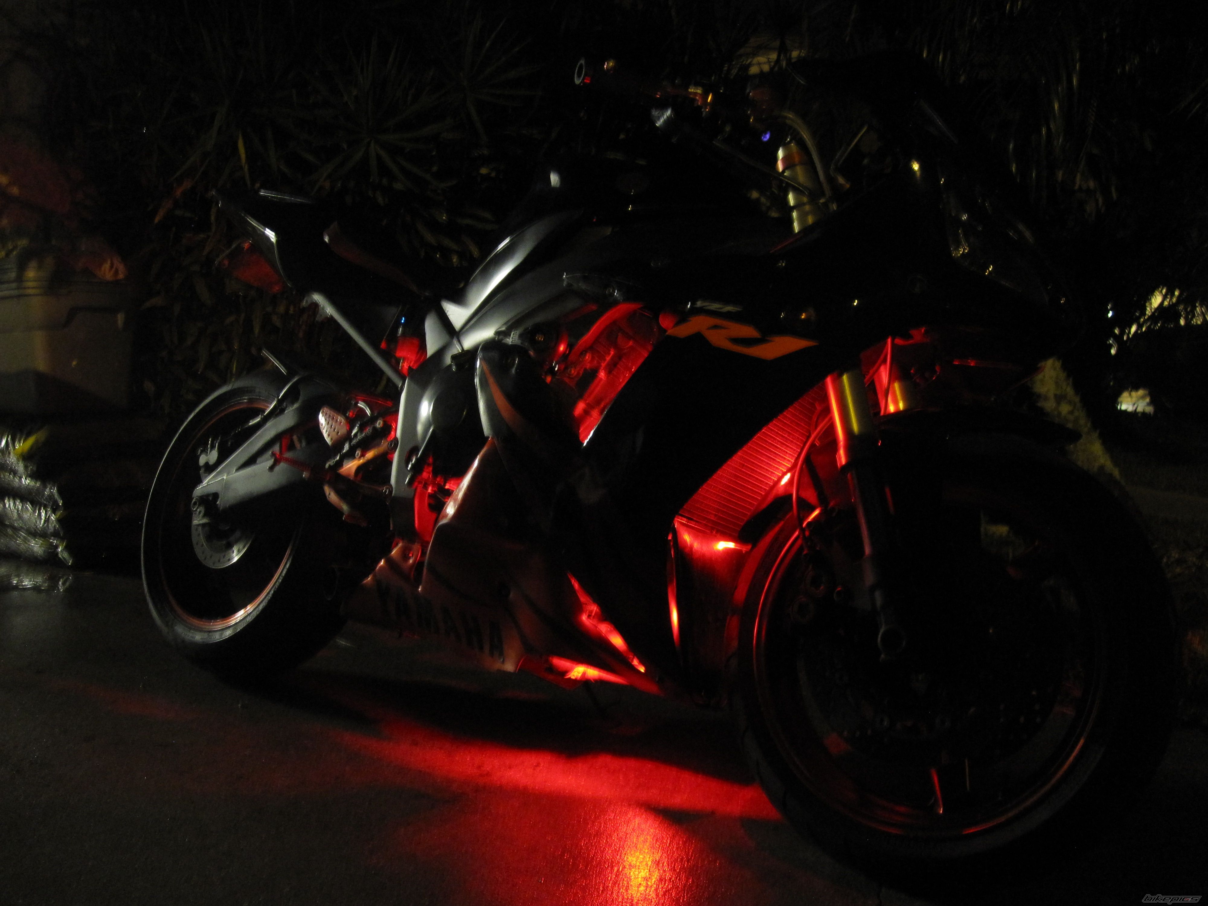 Photo 2541393