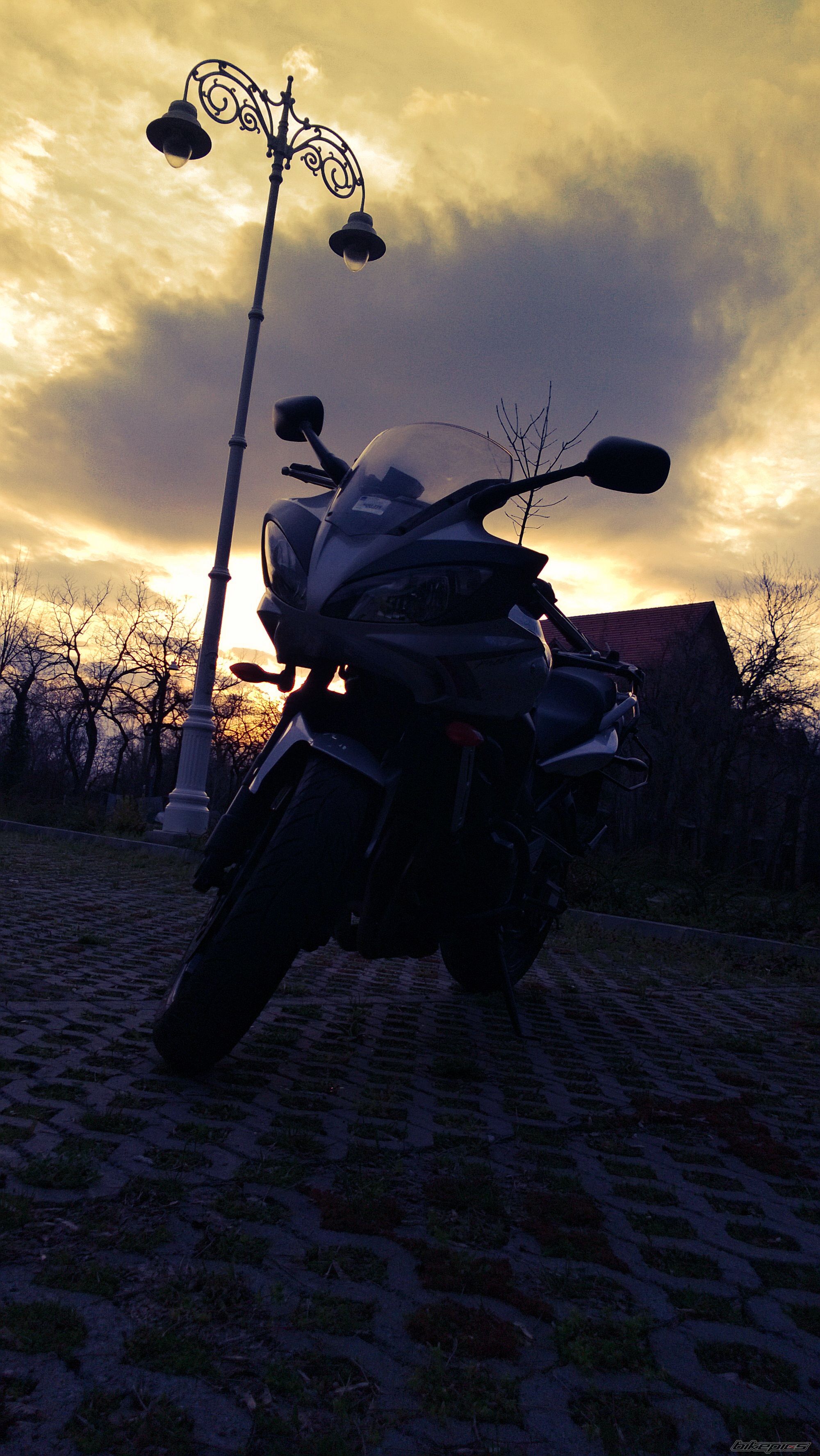 Photo 2541448