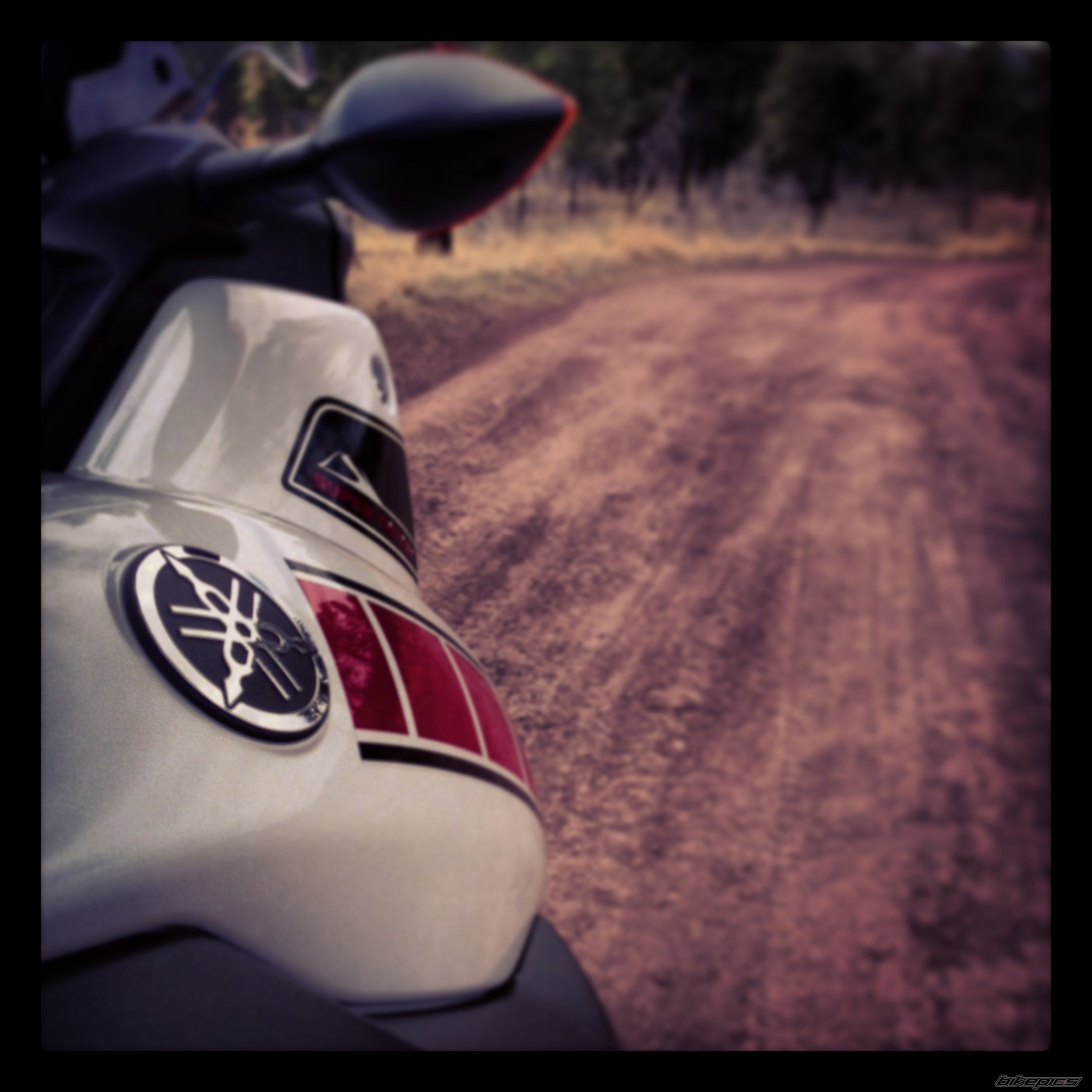 Photo 2541450