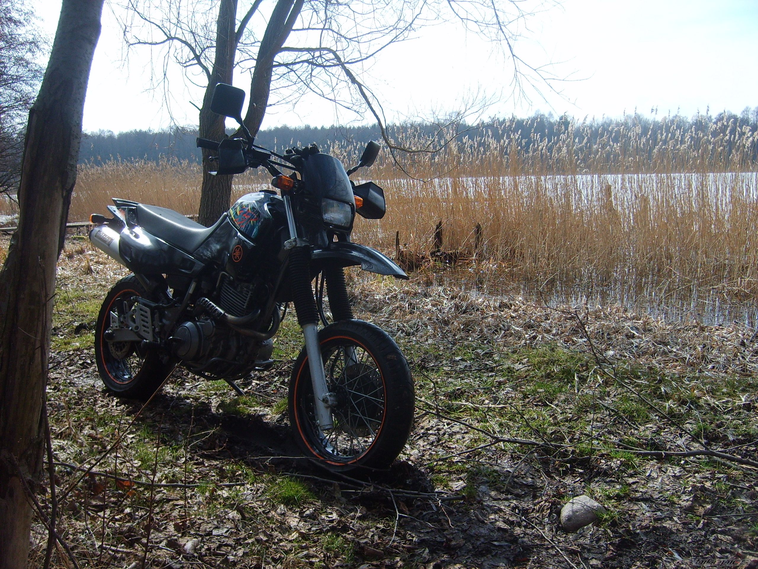 Photo 2541464