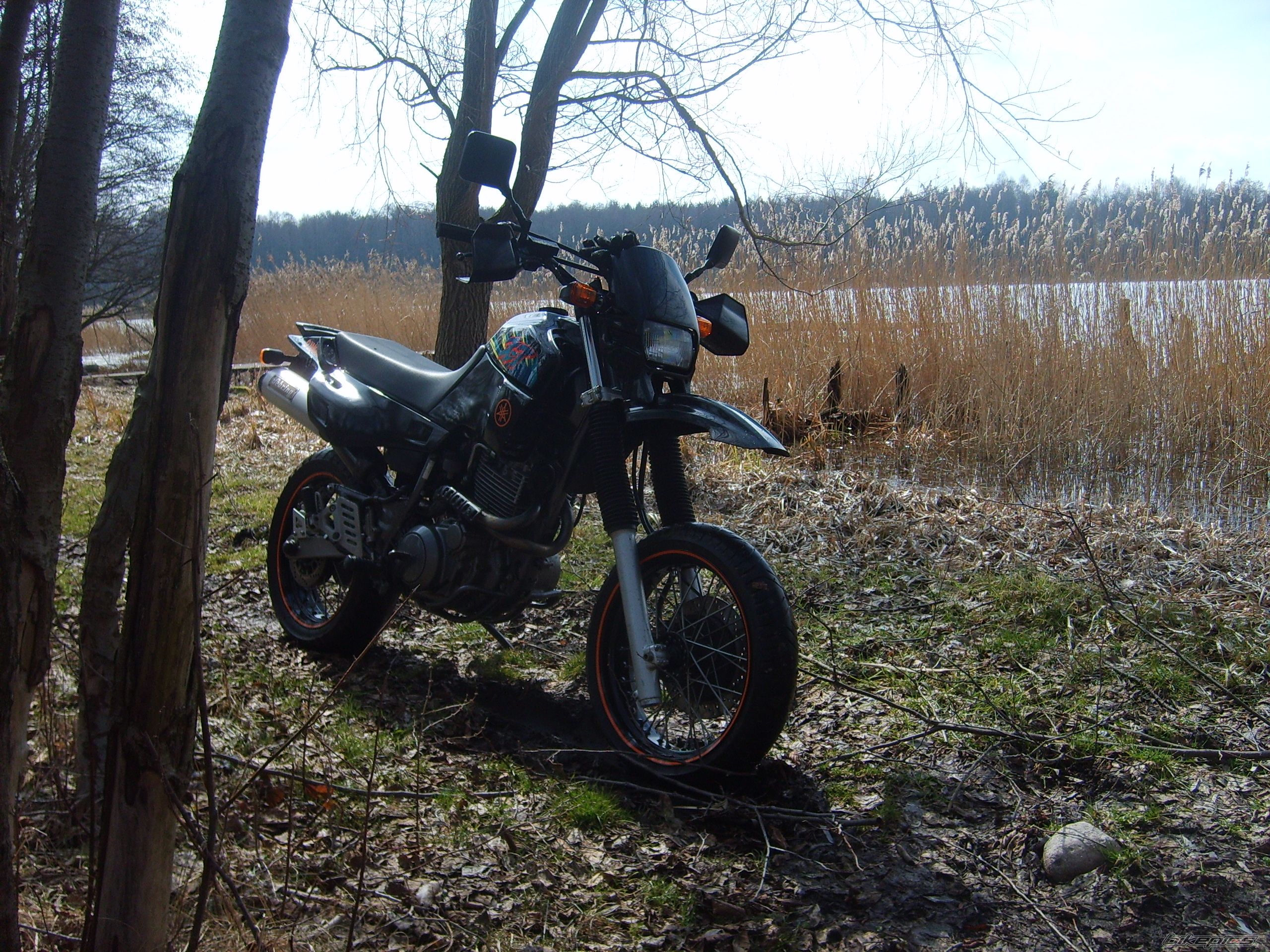 Photo 2541510